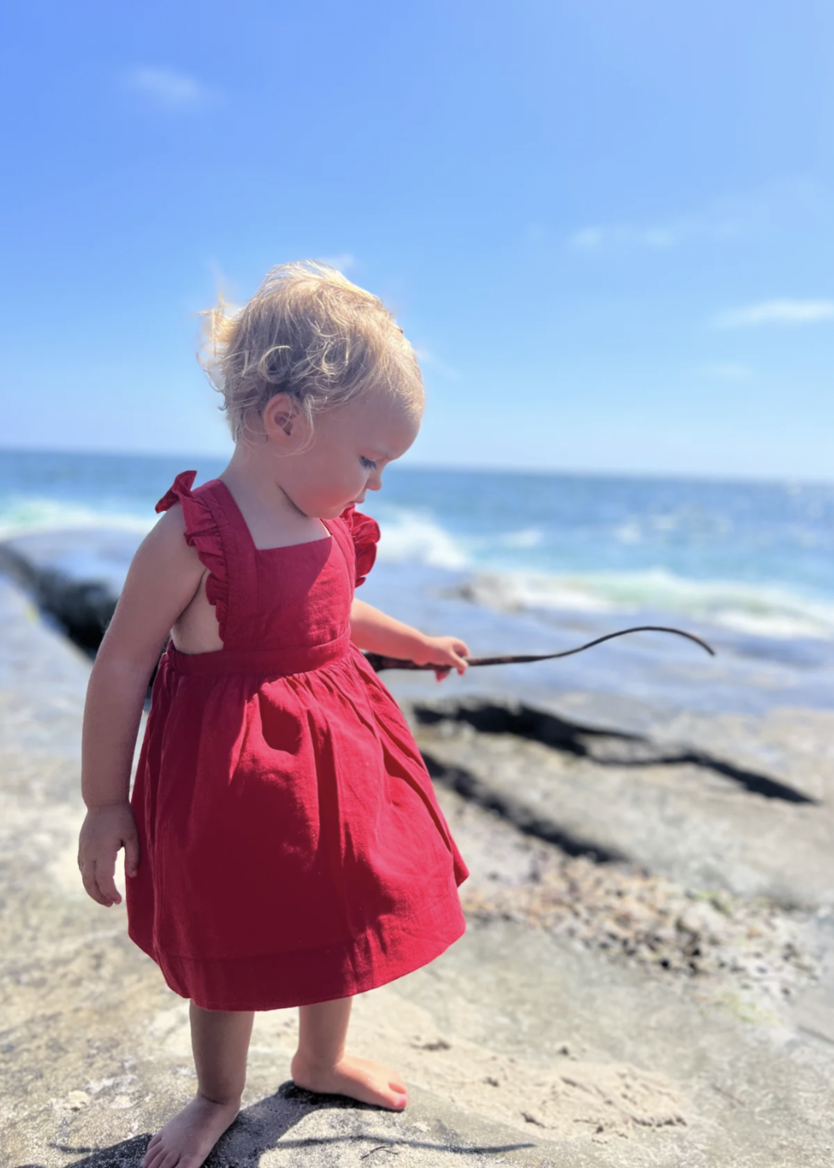 Elitaire Petite Maeve Dress in Red
