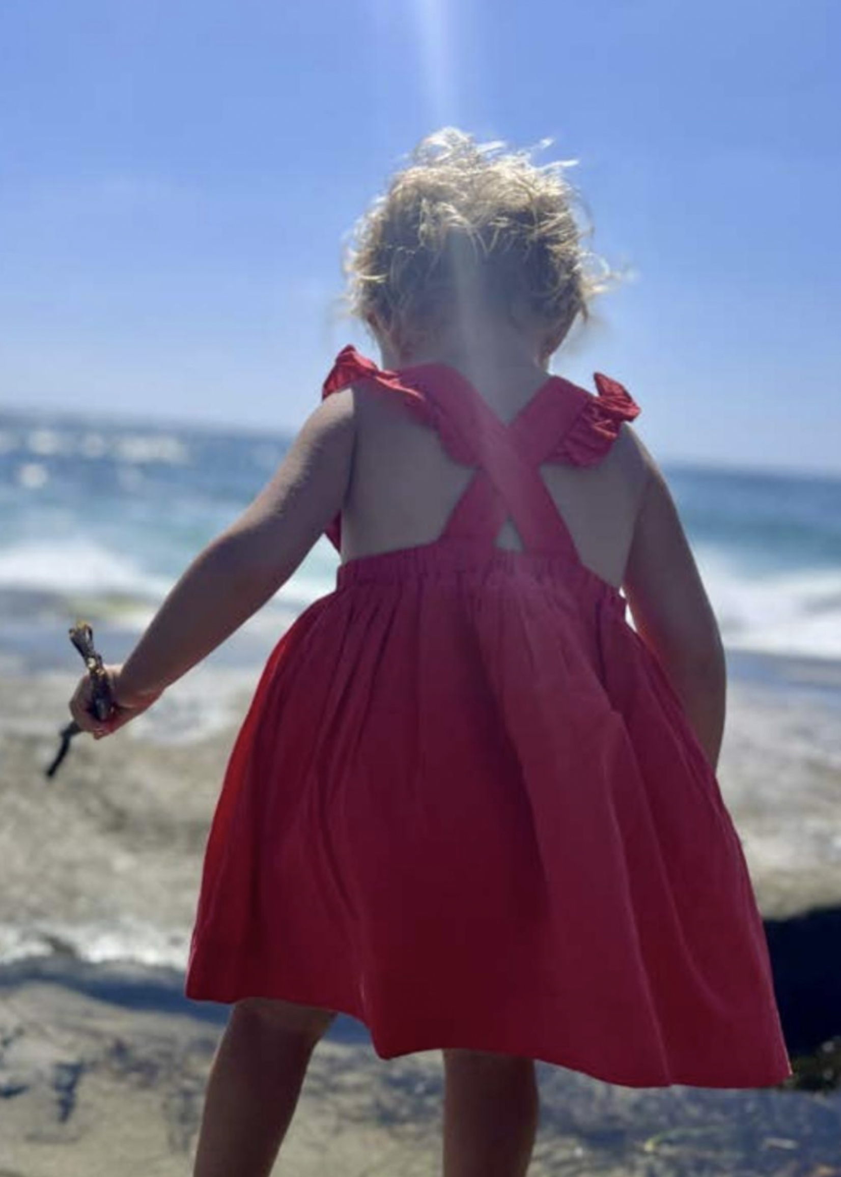 Elitaire Petite Maeve Dress in Red
