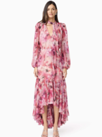Elitaire Boutique Evalina Maxi Dress