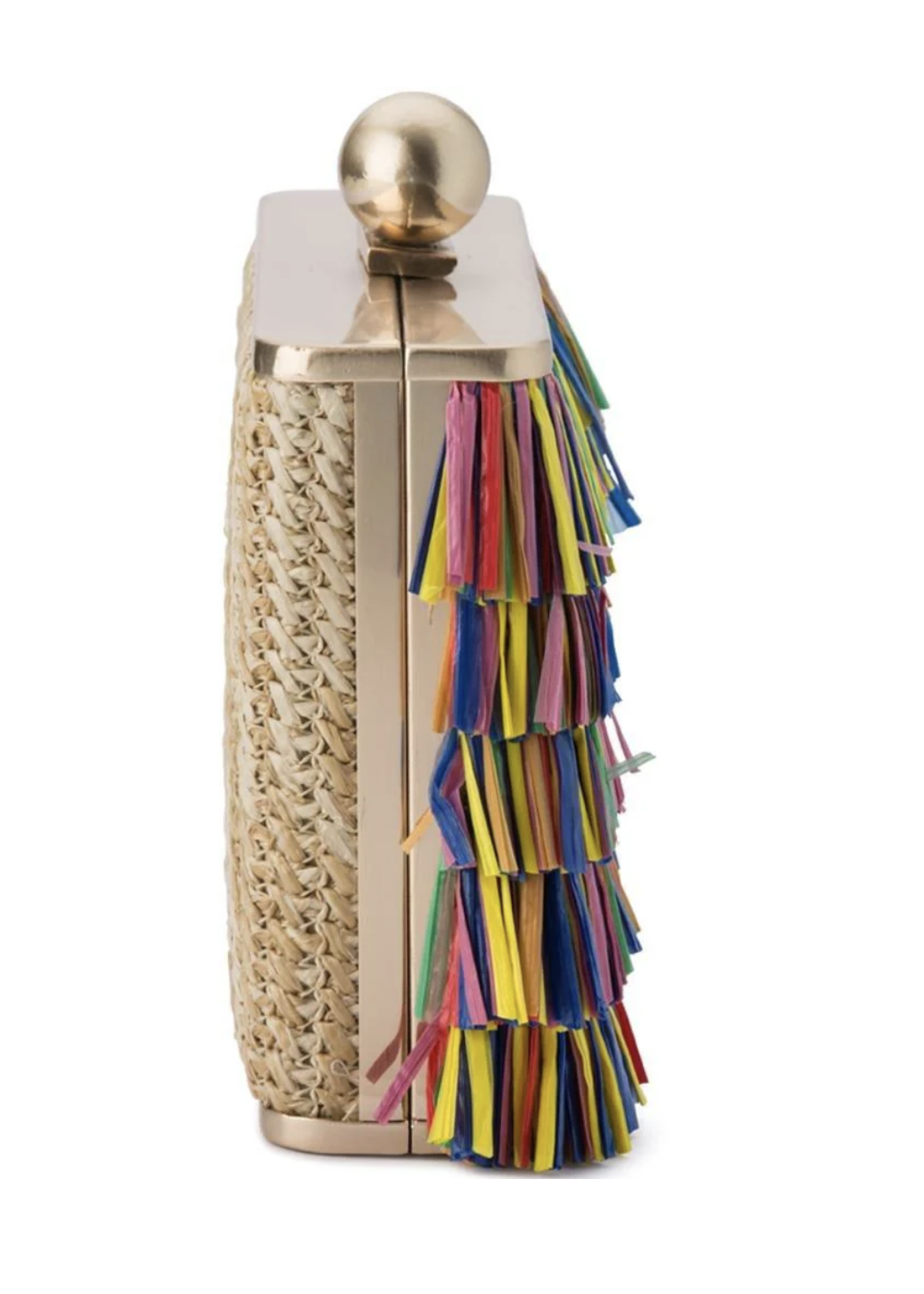 Elitaire Boutique Carlita Carnivale Fringed Clutch