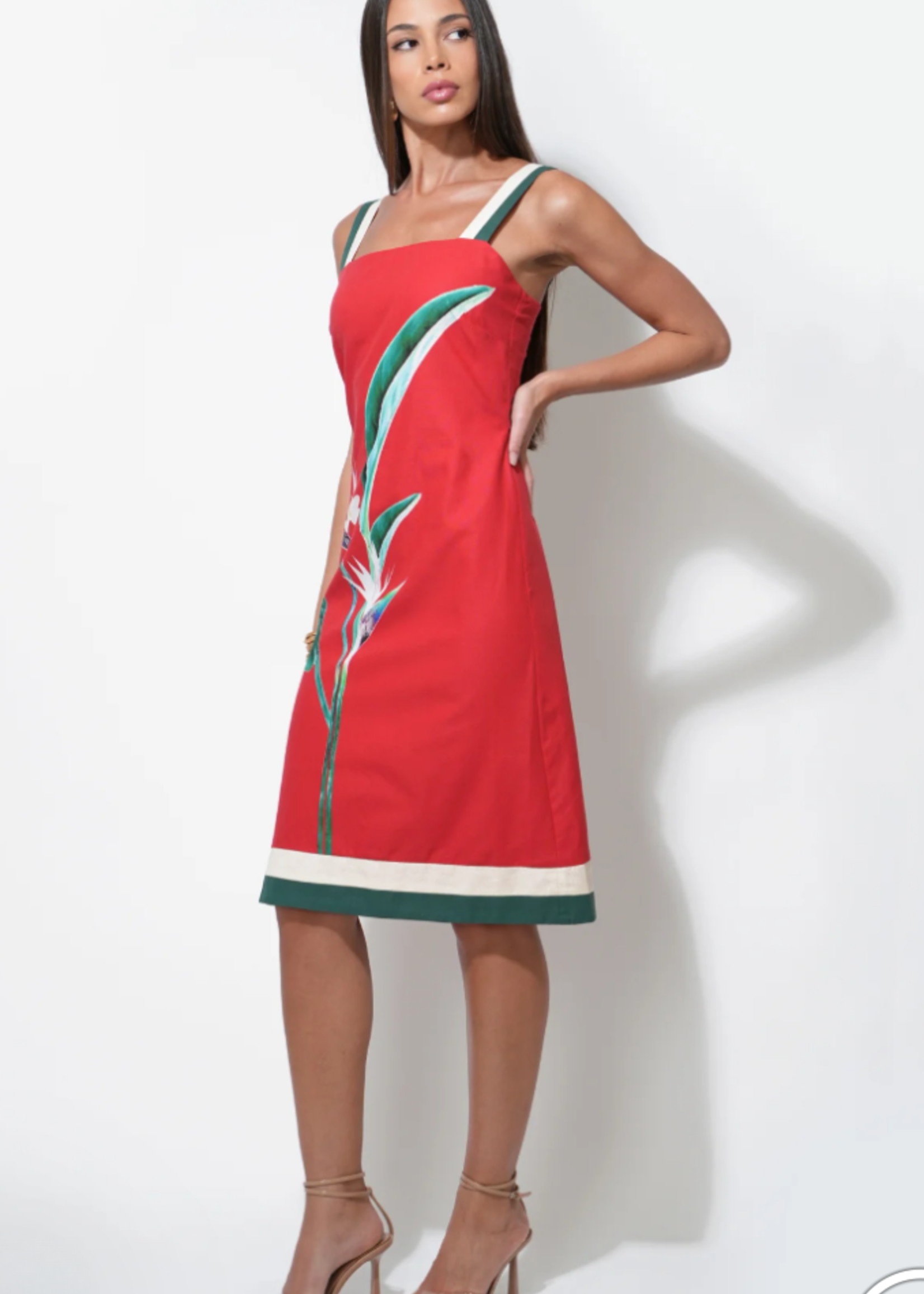 Elitaire Boutique Birds of Paradise Midi Dress