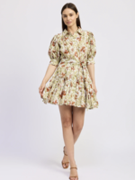 Elitaire Boutique Alexane Mini Dress