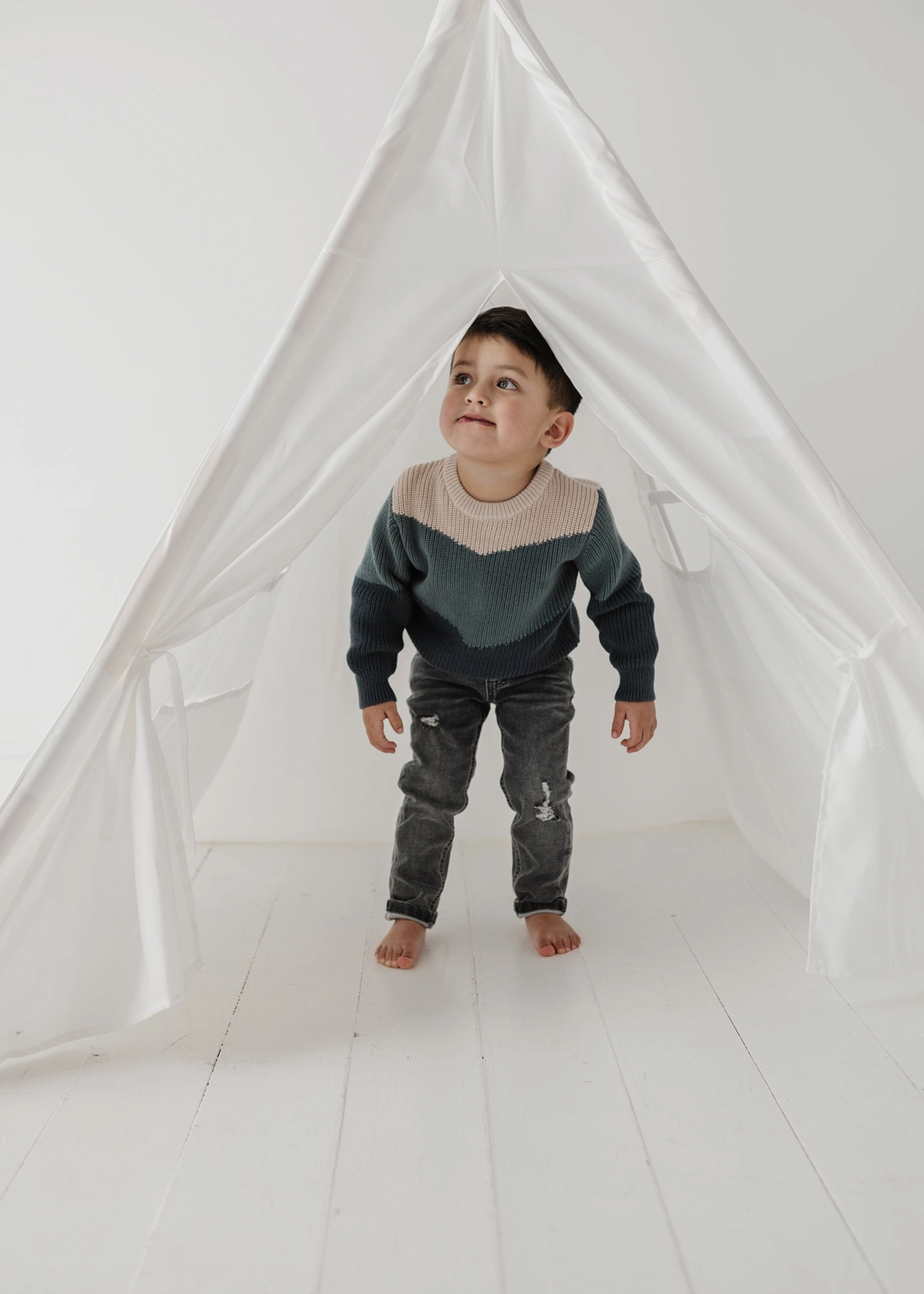 Elitaire Petite Colorblock Sweater in Slate