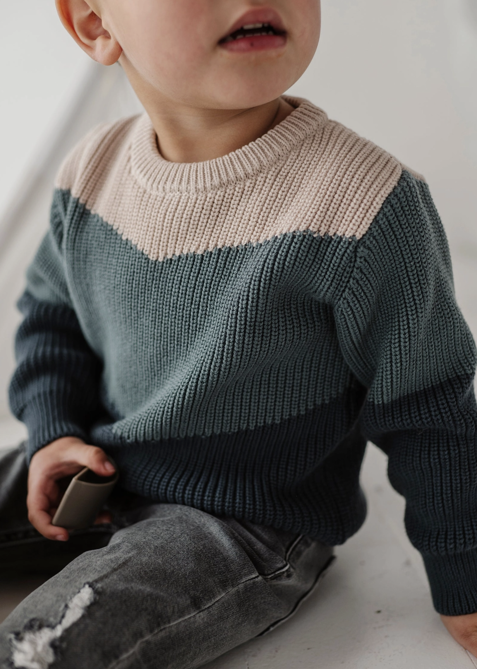 Elitaire Petite Colorblock Sweater in Slate