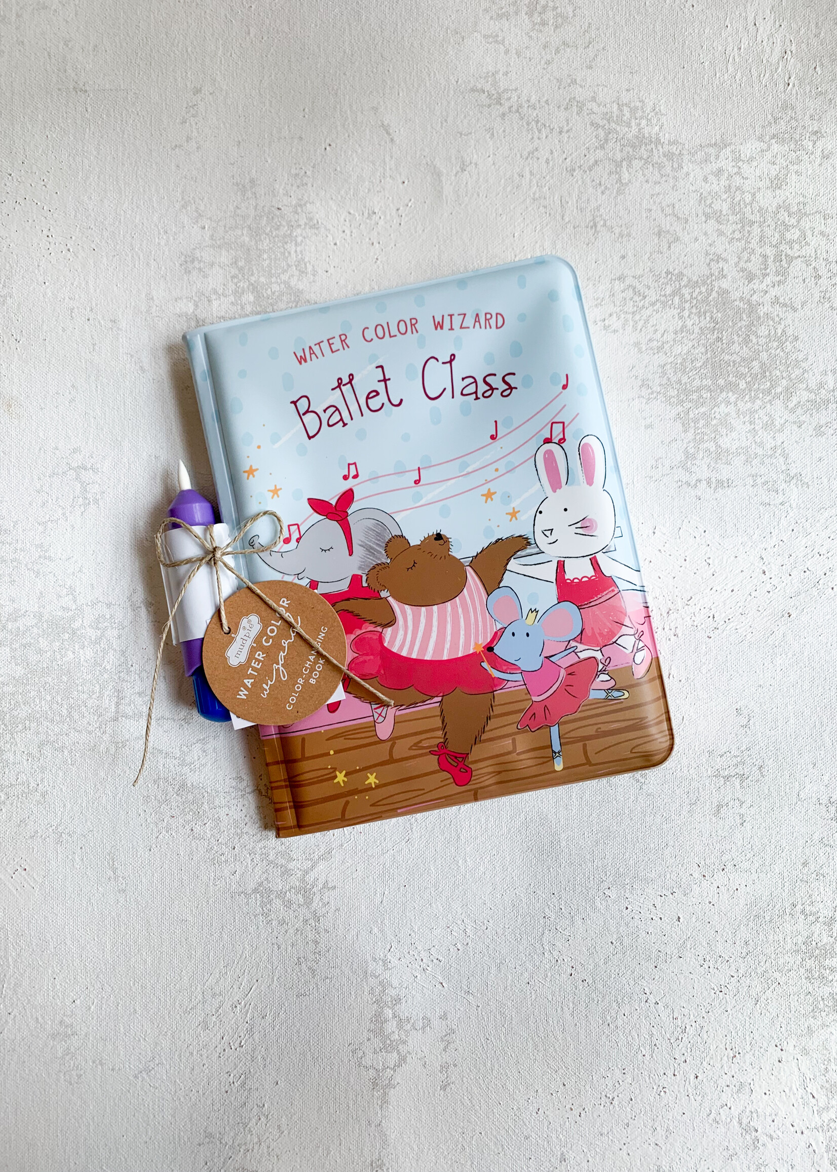 Elitaire Petite Ballet Class Water Coloring Book