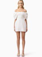 Elitaire Boutique Fiona Off Shoulder Mini Dress