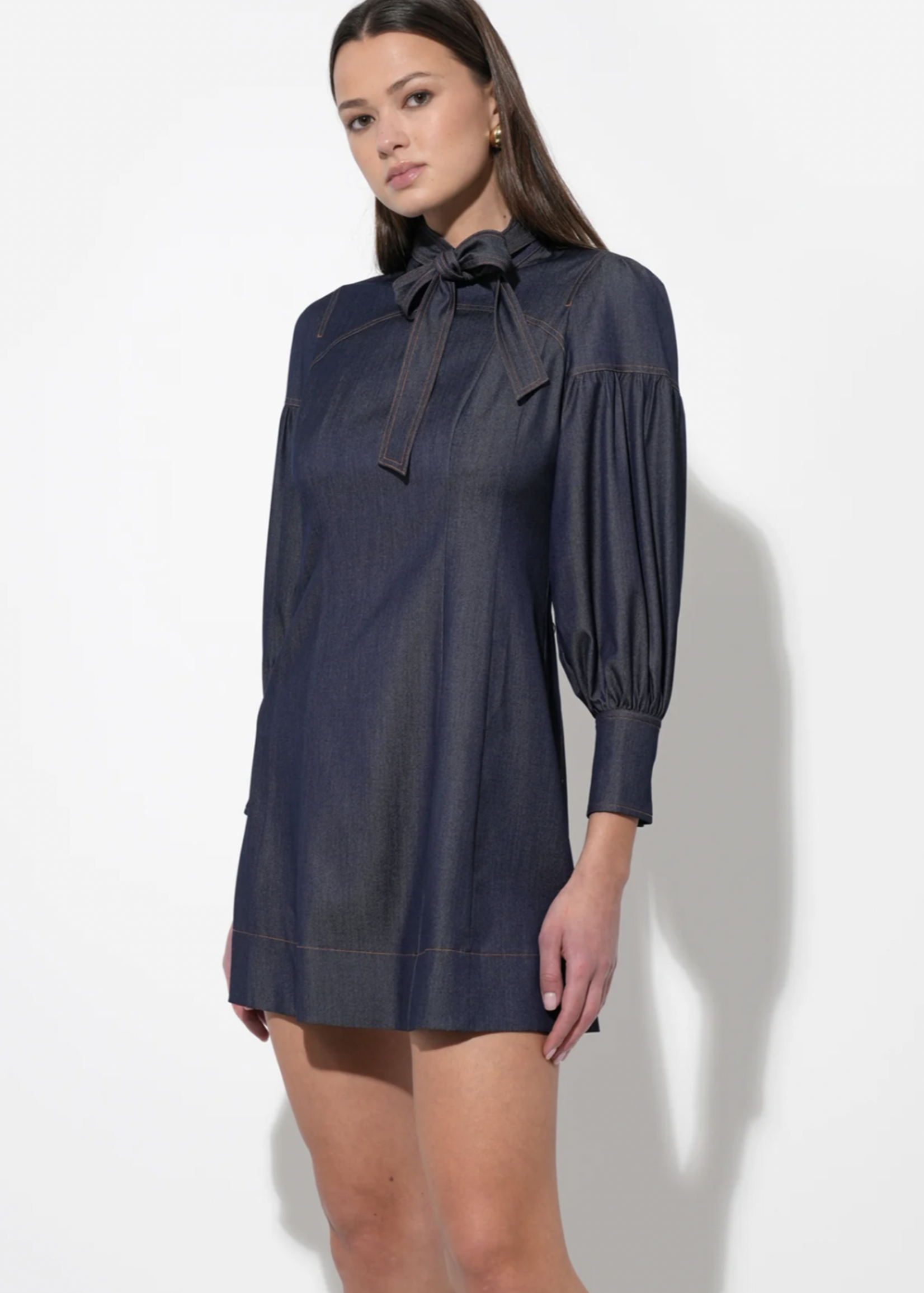 Elitaire Boutique Lilith Denim Mini Dress