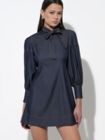 Elitaire Boutique Lilith Denim Mini Dress