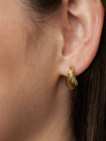 Elitaire Boutique Small Shell Earrings - Gold