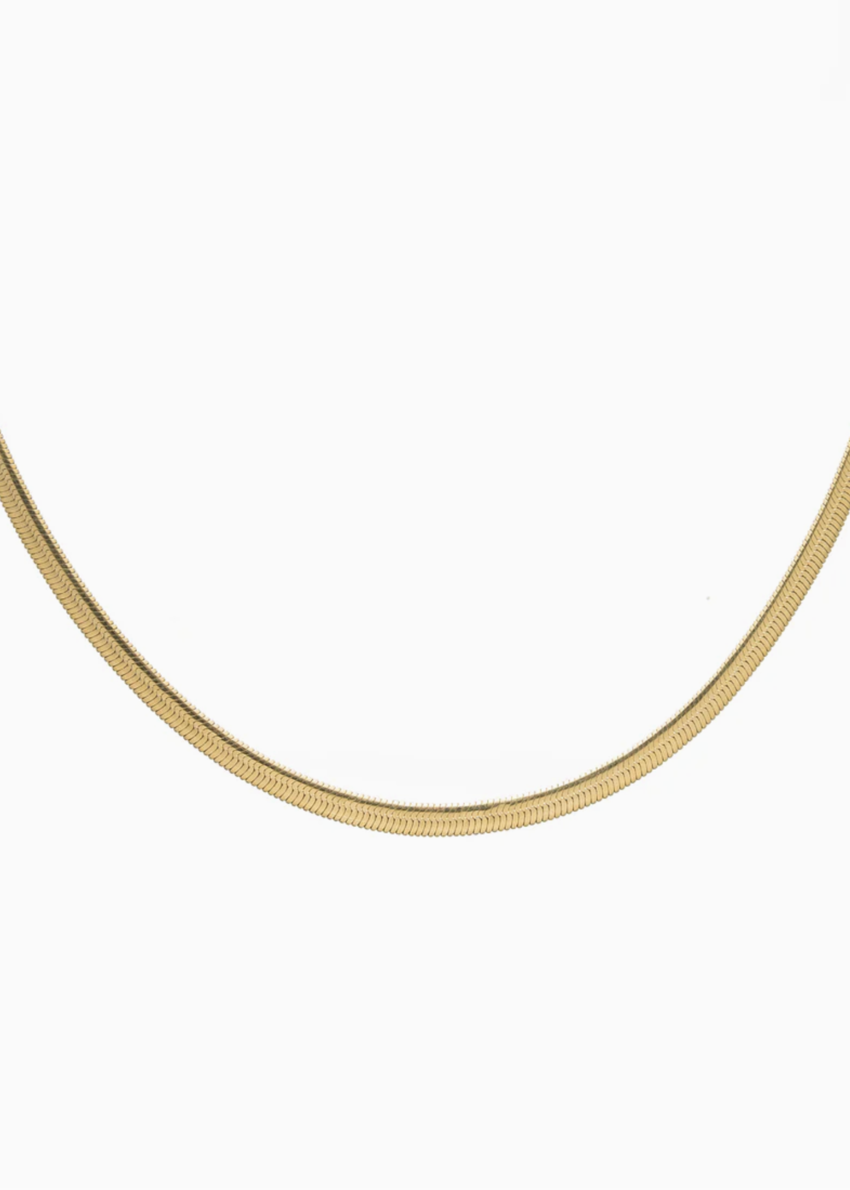 Elitaire Boutique Herringbone Necklace - Gold
