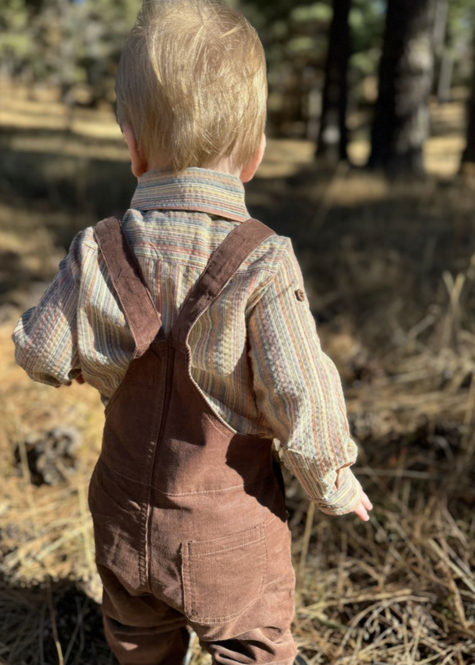 Elitaire Petite Jasper Onesie + Shirt in Fall Stripe
