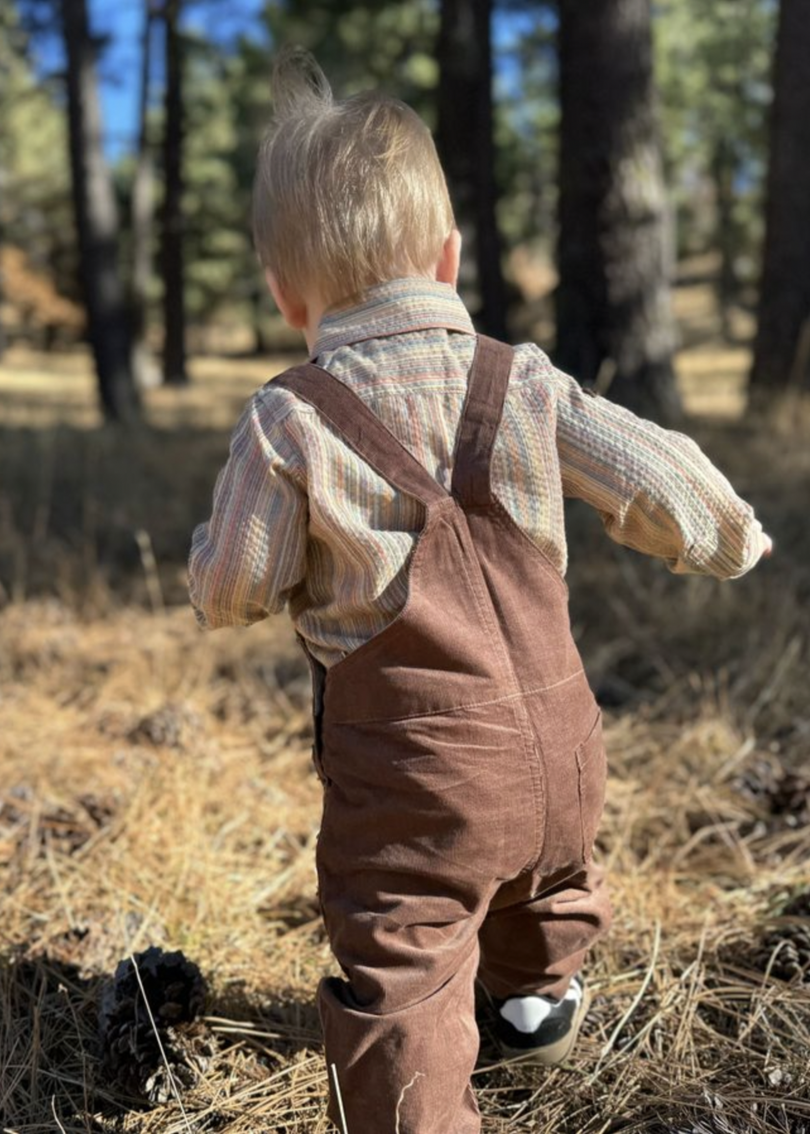 Elitaire Petite Jasper Onesie + Shirt in Fall Stripe