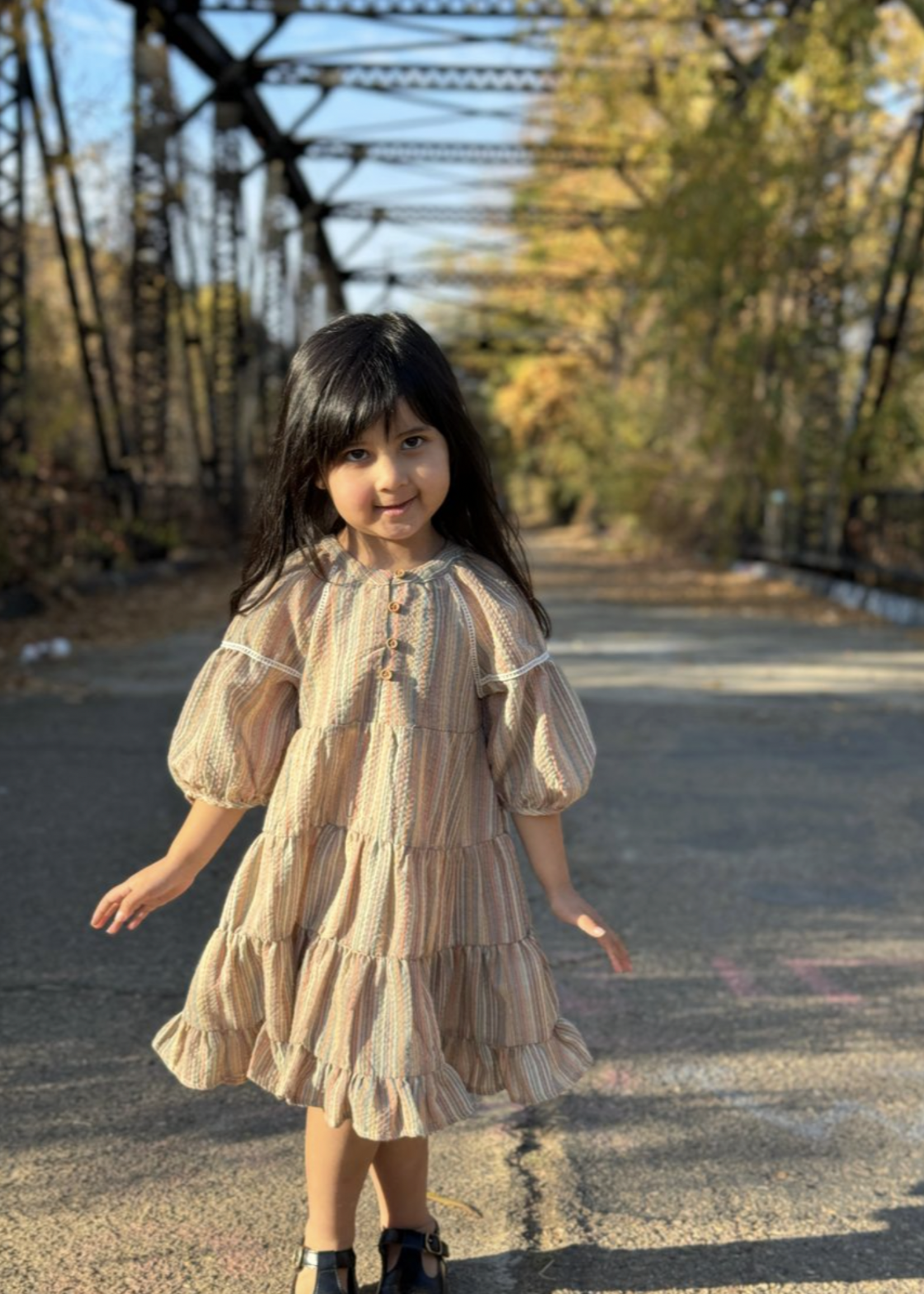 Elitaire Petite Sadie Dress in Fall Stripe