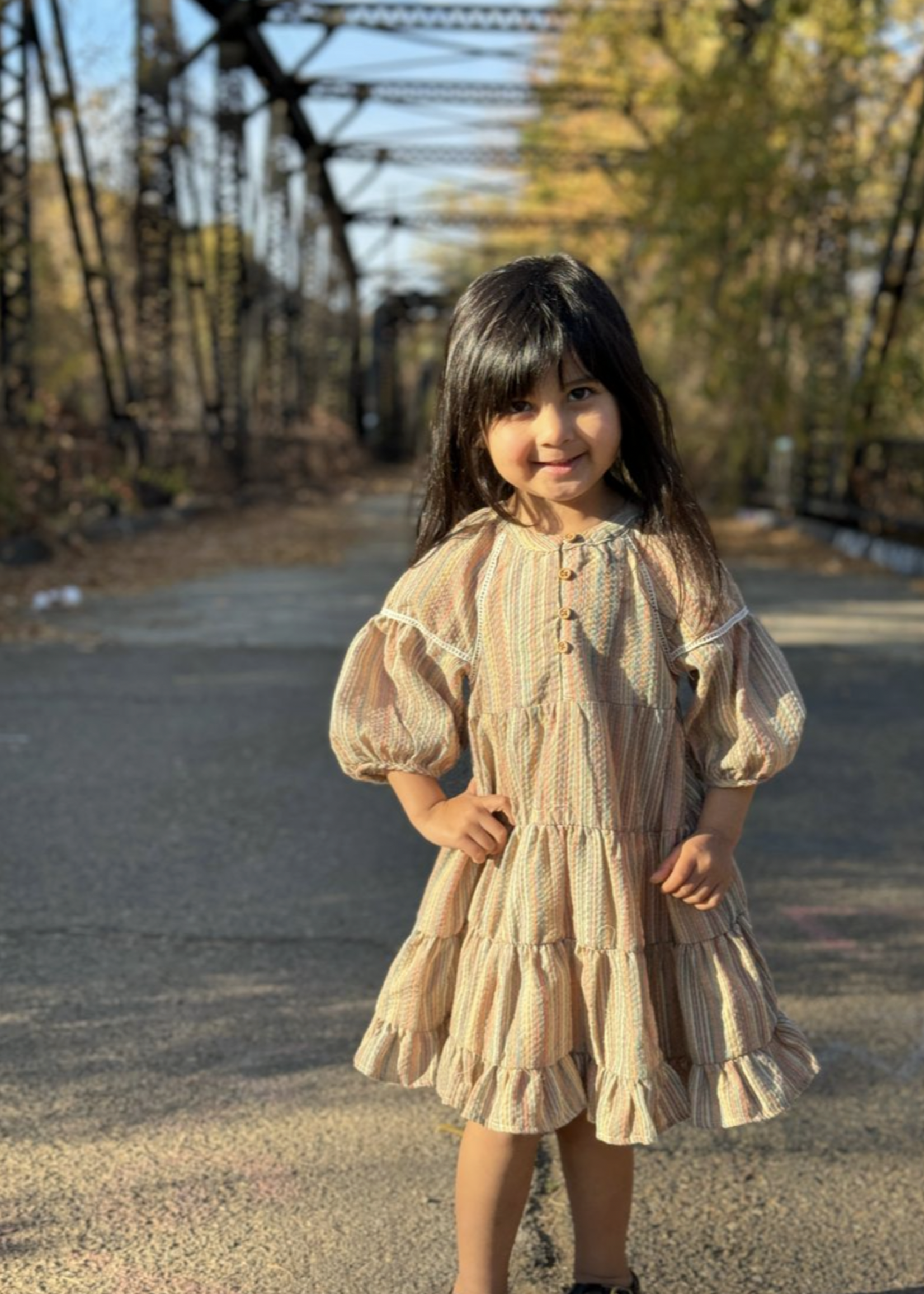 Elitaire Petite Sadie Dress in Fall Stripe