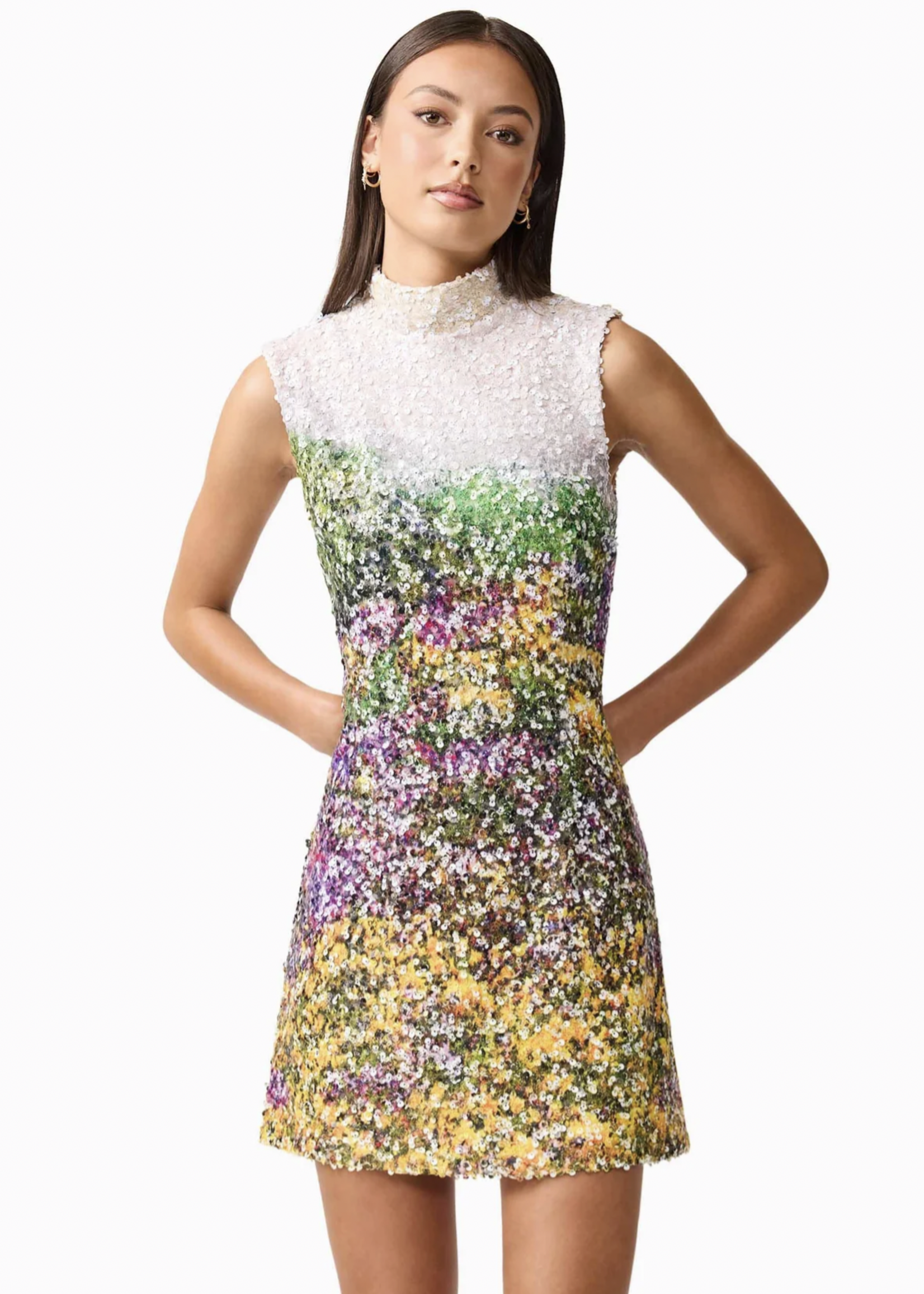 Elitaire Boutique Arden Mini Dress