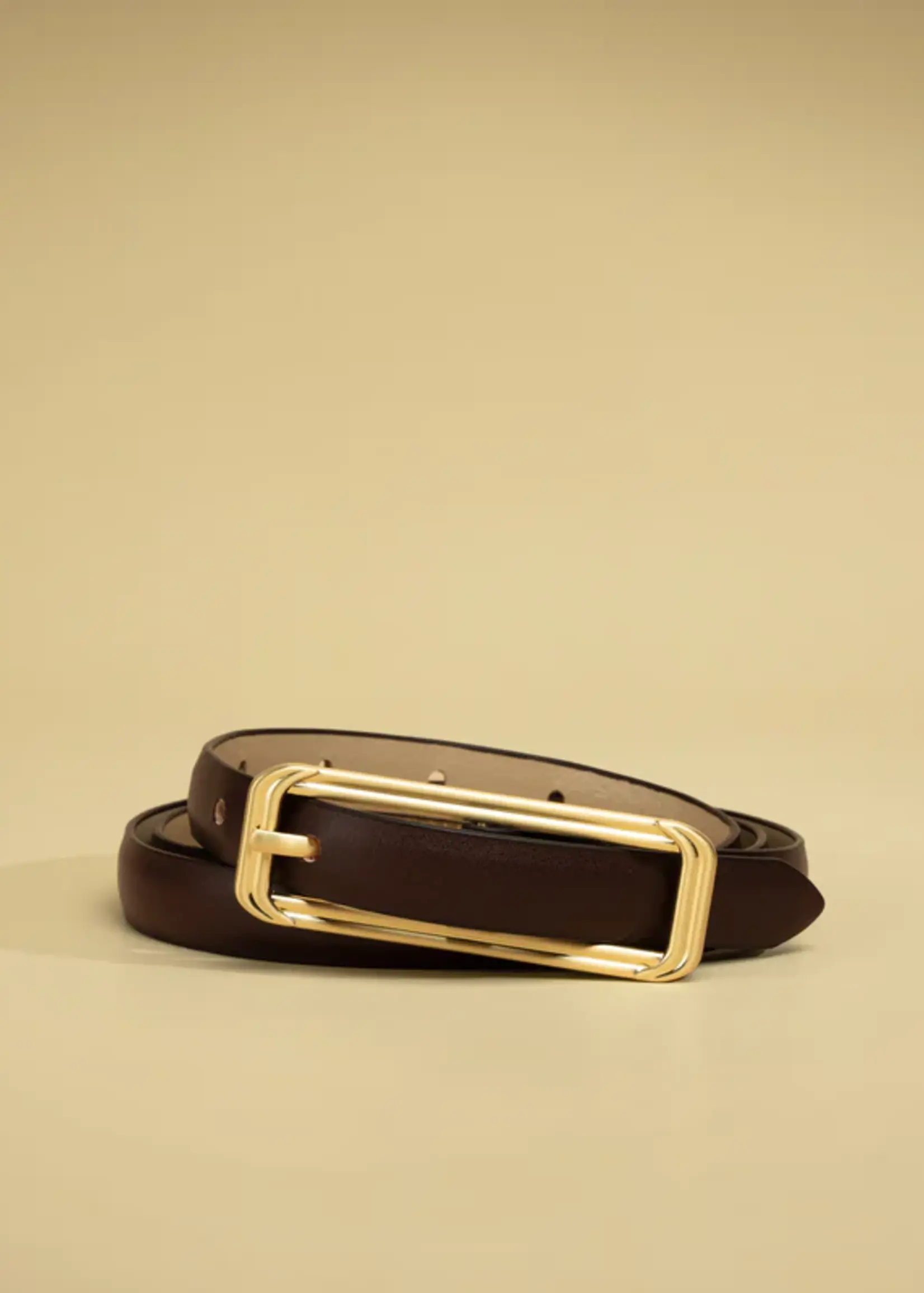 Elitaire Boutique The Picarra Belt in Espresso