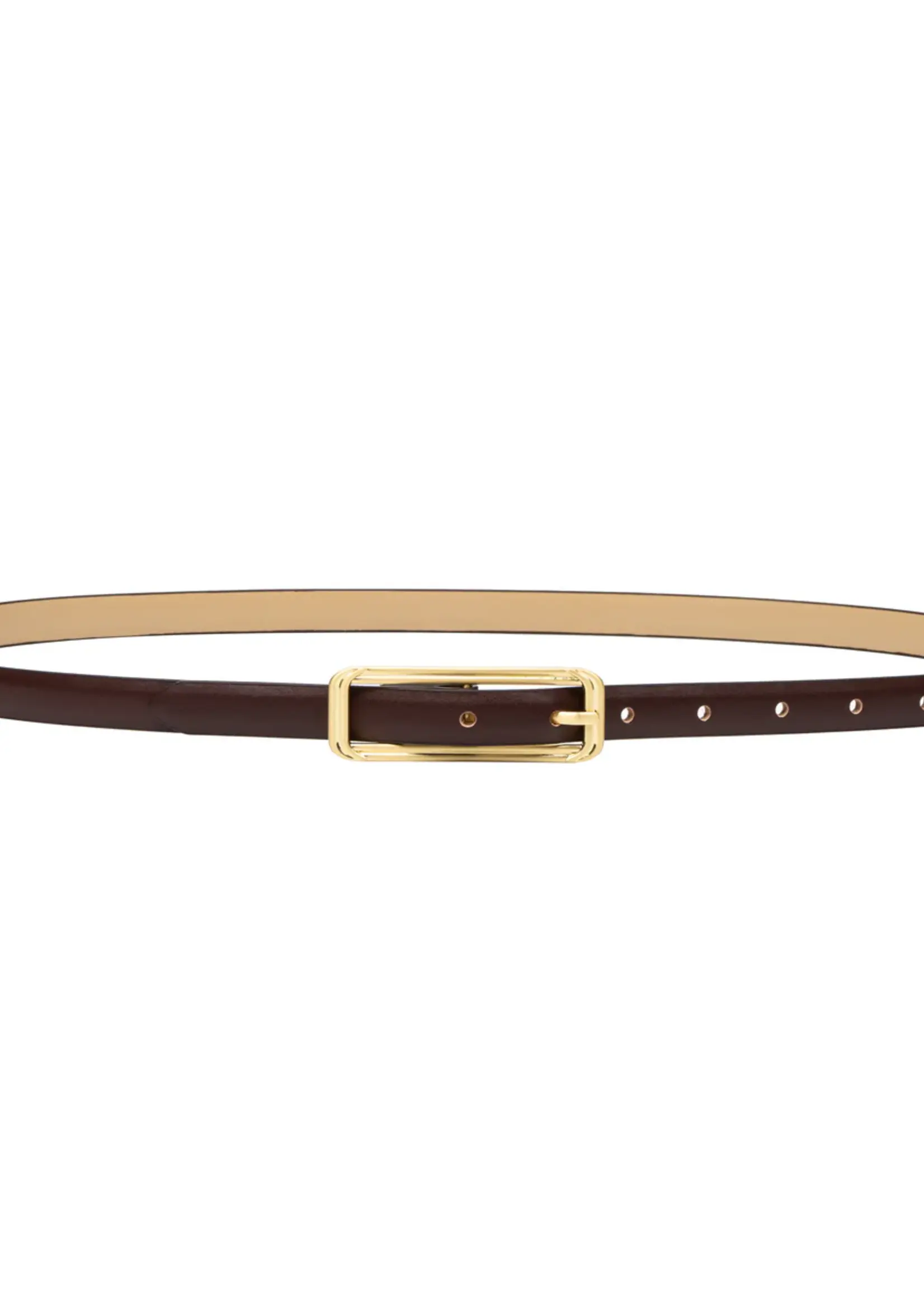 Elitaire Boutique The Picarra Belt in Espresso