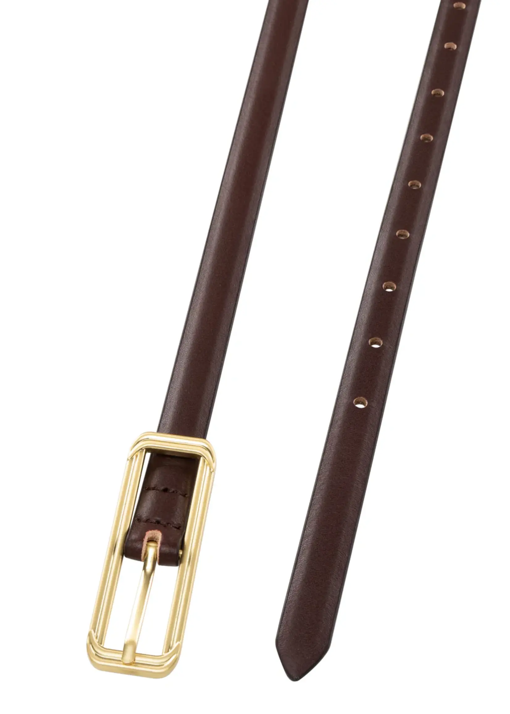 Elitaire Boutique The Picarra Belt in Espresso