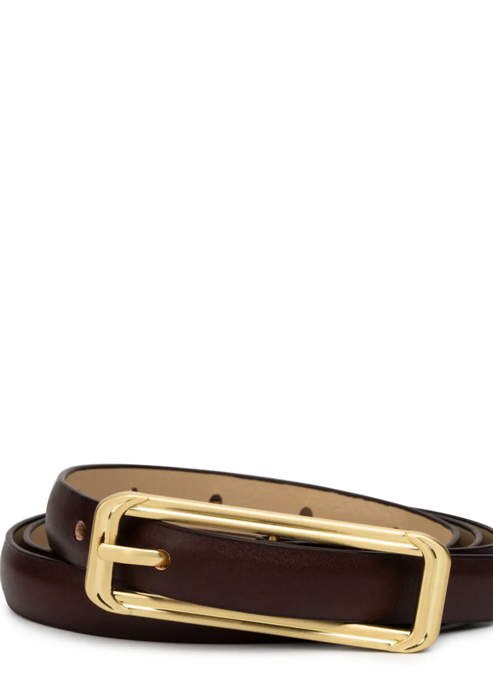 Elitaire Boutique The Picarra Belt in Espresso