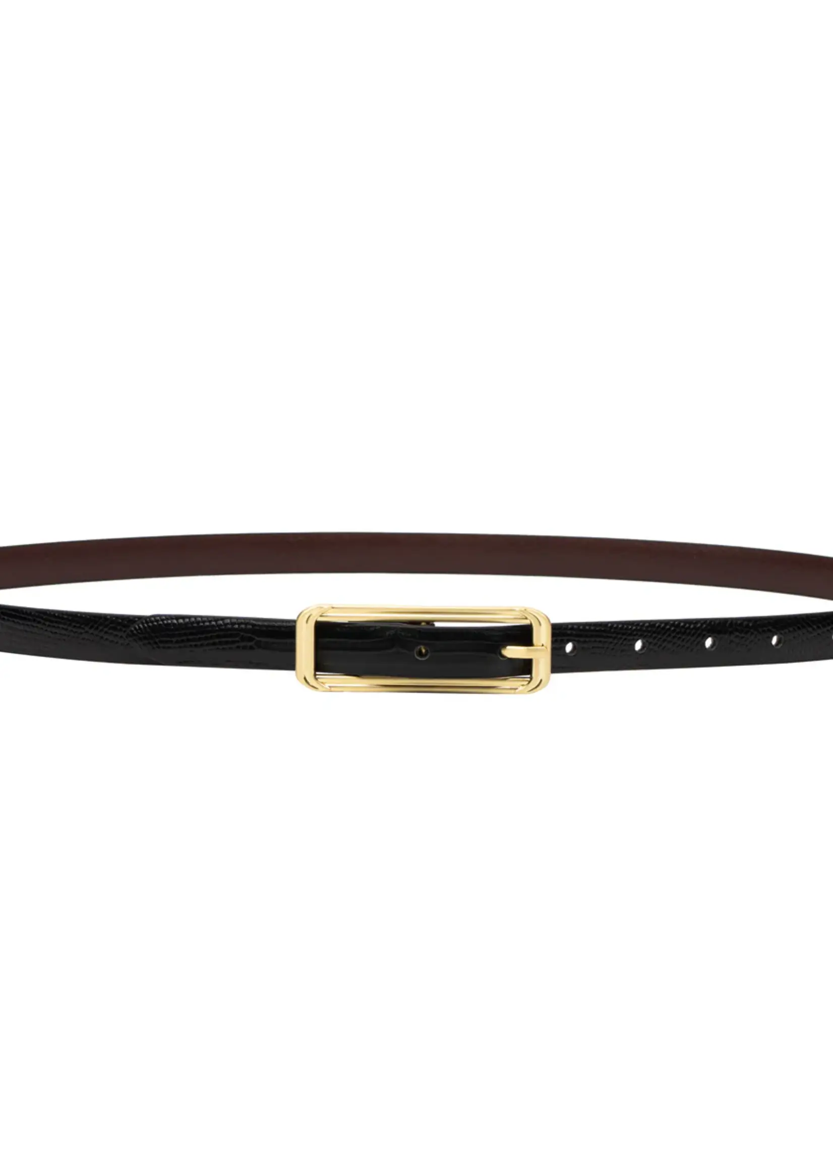 Elitaire Boutique The Picarra Belt in Black Lizard