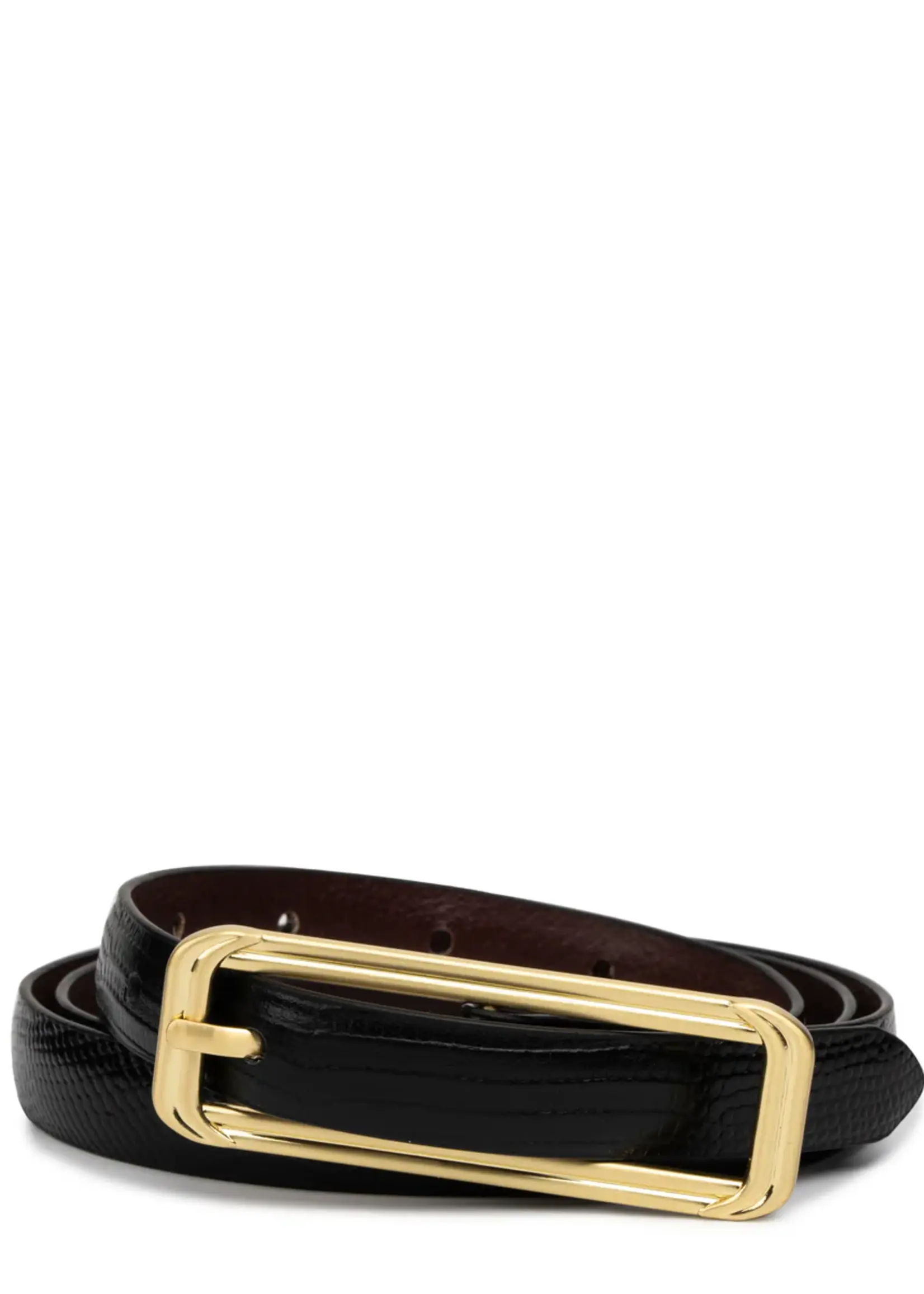 Elitaire Boutique The Picarra Belt in Black Lizard