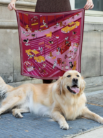 Elitaire Boutique Tails of New York Silk Scarf by Swells - Magenta