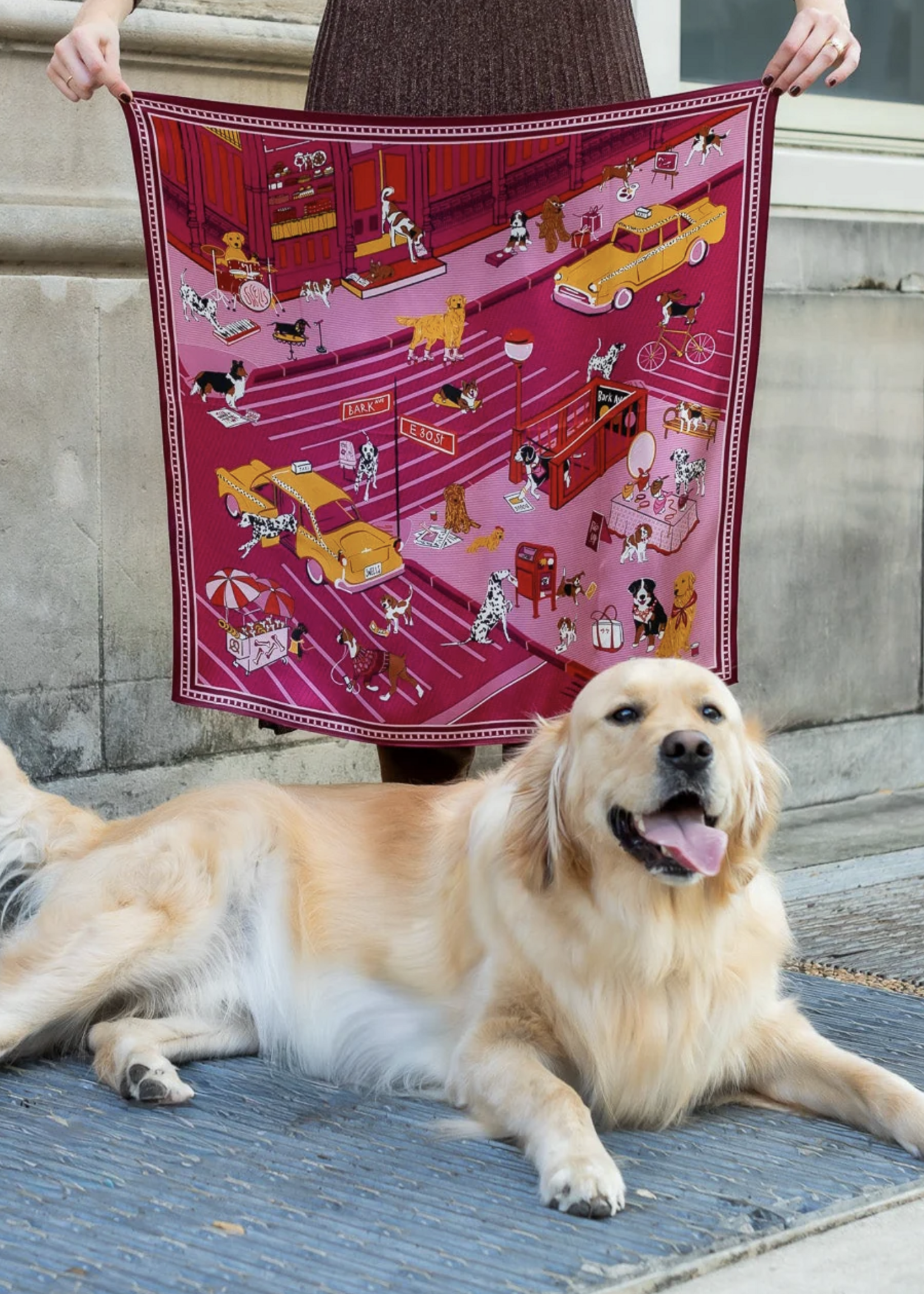 Elitaire Boutique Tails of New York Silk Scarf by Swells - Magenta