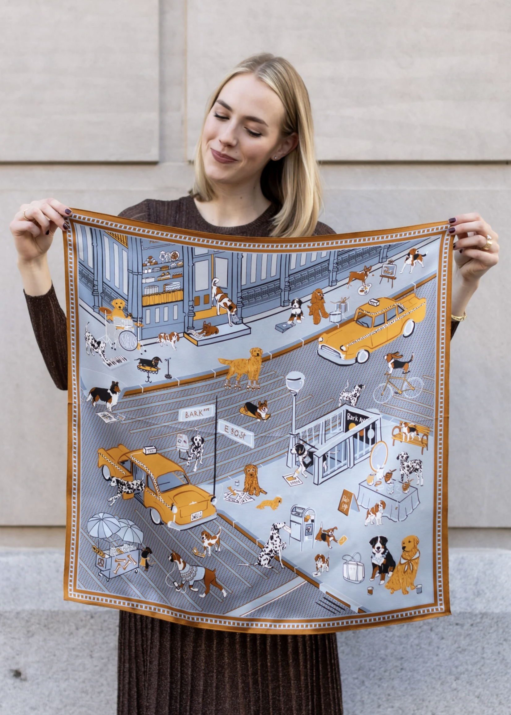 Elitaire Boutique Tails of New York Silk Scarf by Swells - Slate