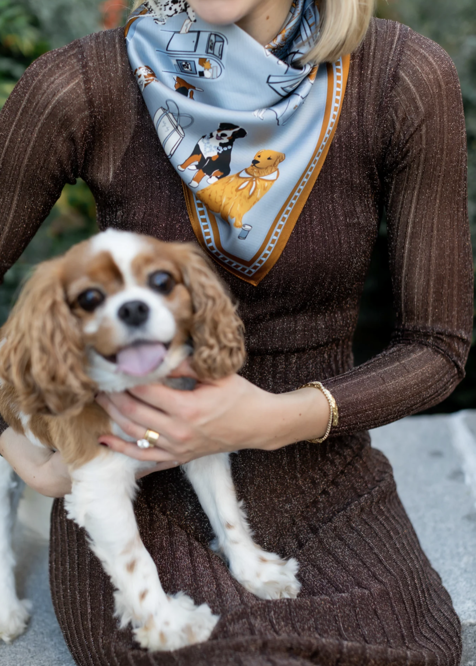 Elitaire Boutique Tails of New York Silk Scarf by Swells - Slate