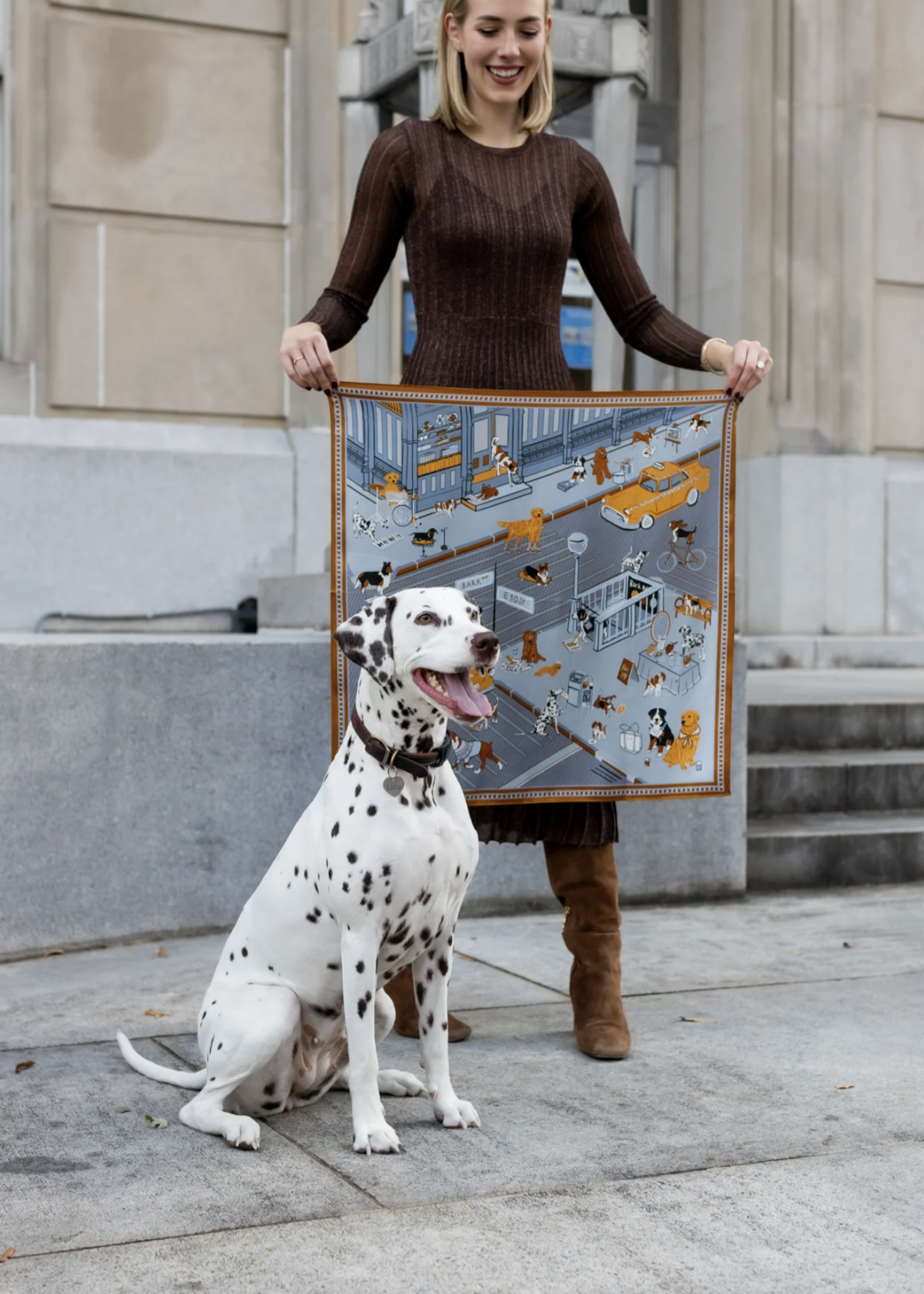 Elitaire Boutique Tails of New York Silk Scarf by Swells - Slate