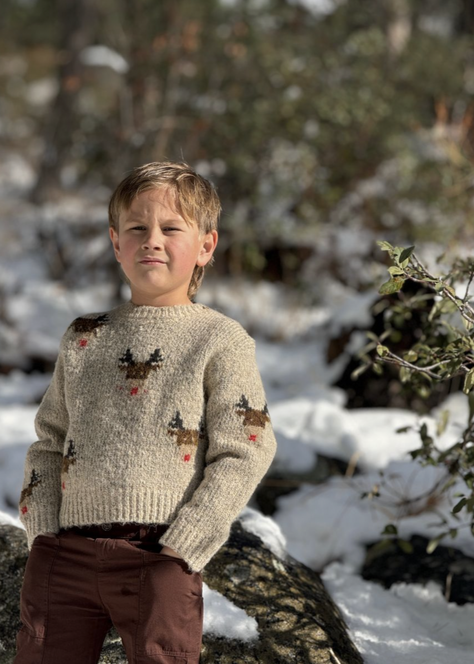 Elitaire Petite Rudy Reindeer Sweater