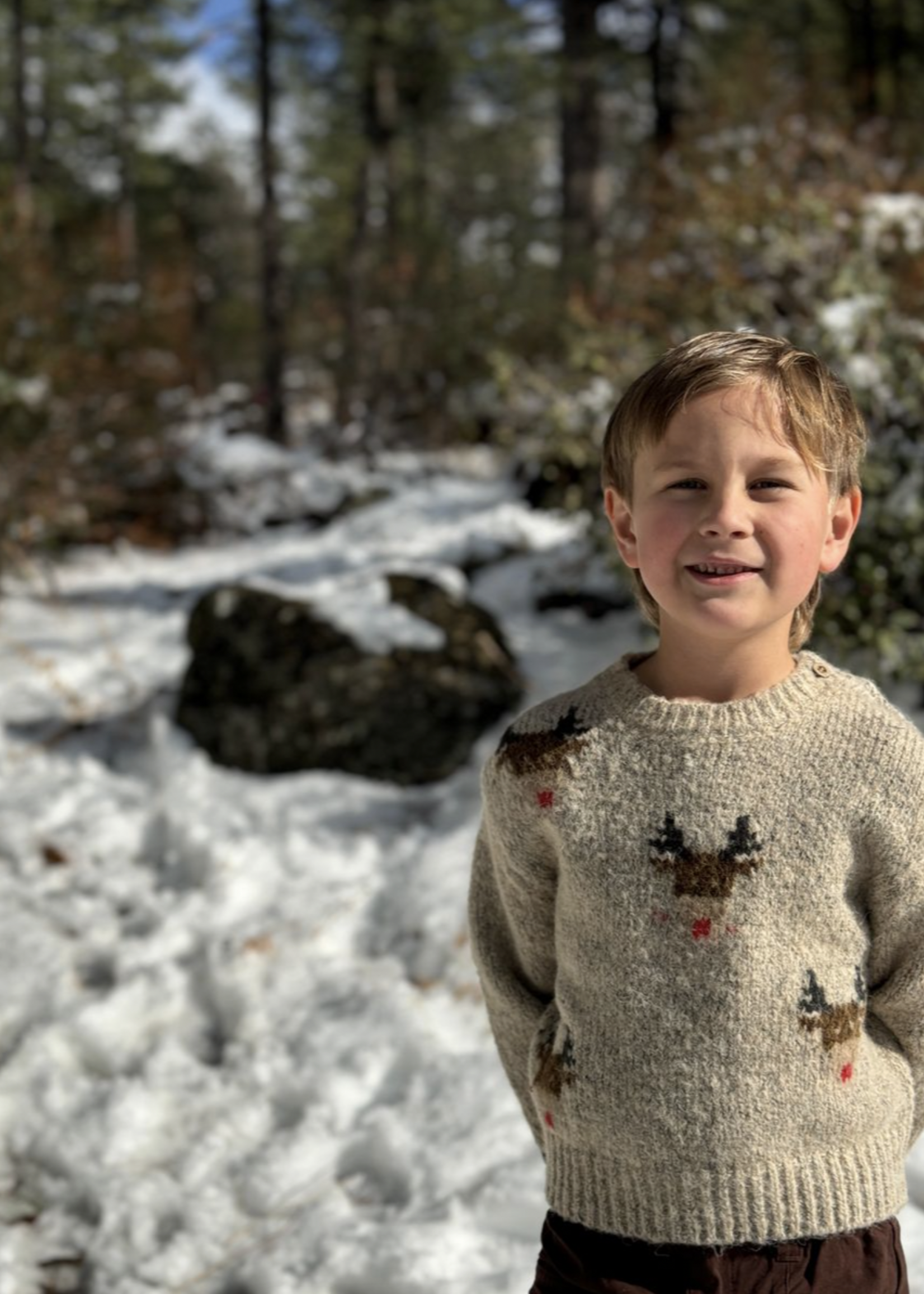 Elitaire Petite Rudy Reindeer Sweater