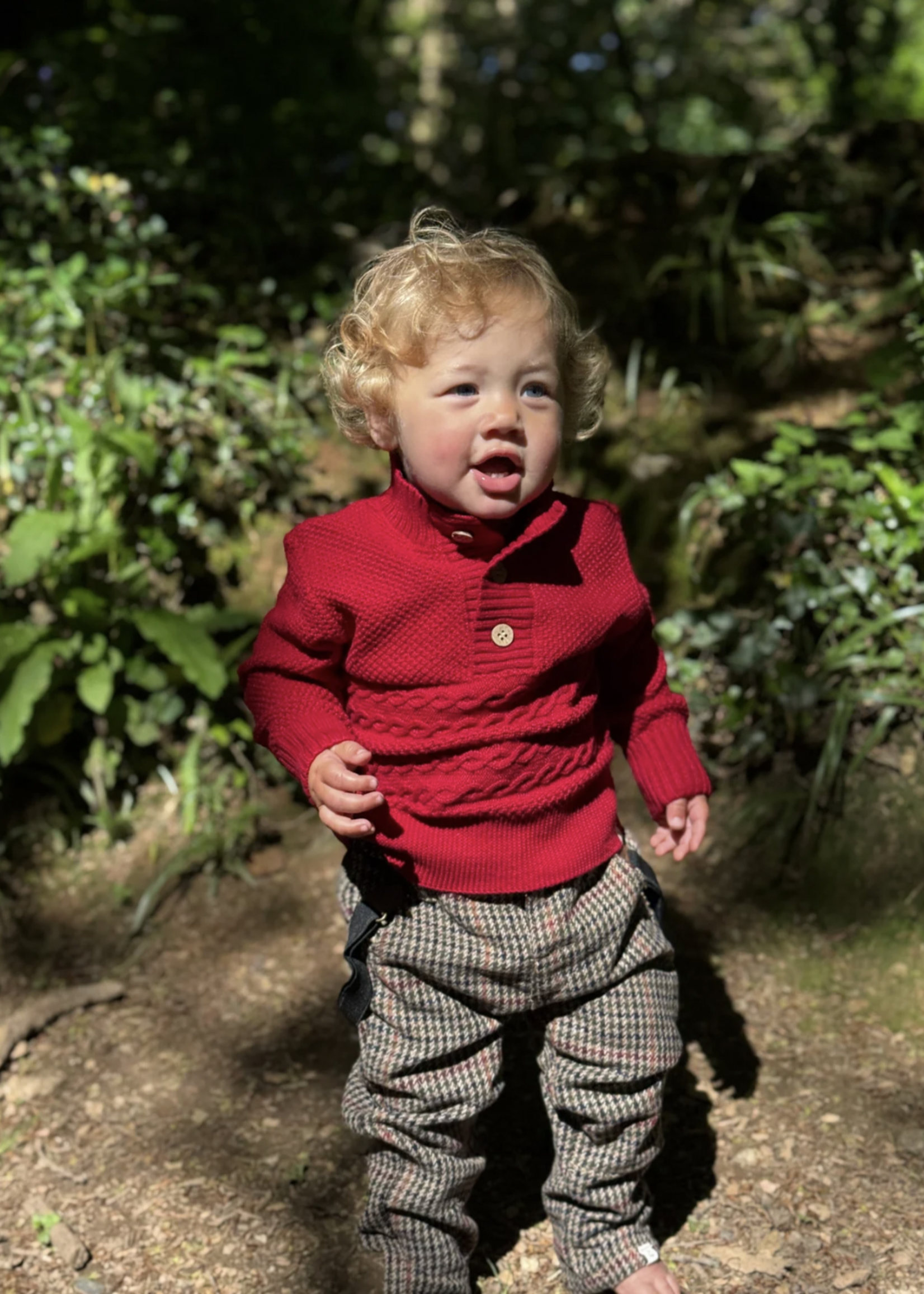 Elitaire Petite Red Cable Knit Sweater