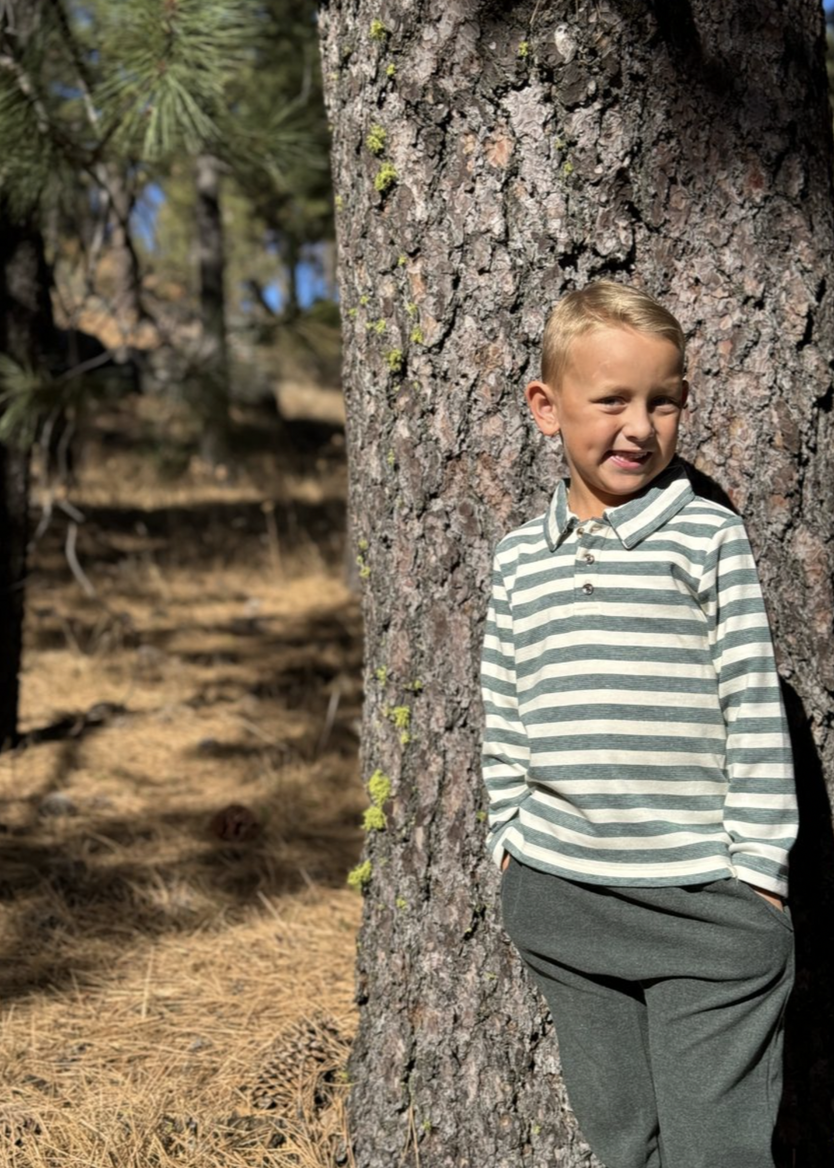 Elitaire Petite Comfy Joggers in Forest