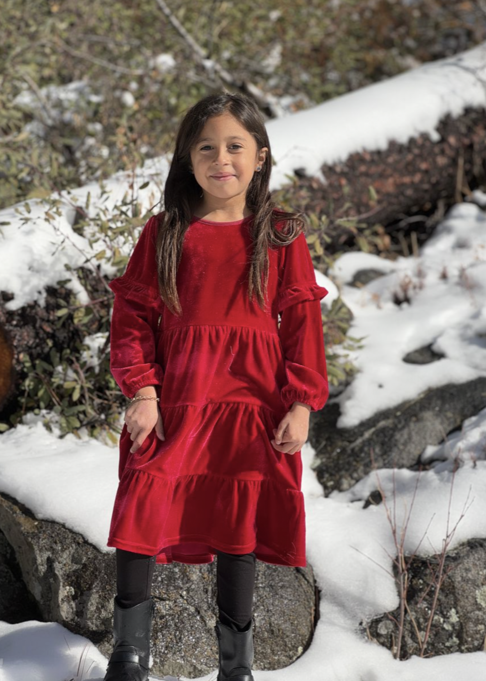 Elitaire Petite Eliana Dress in Red Velvet