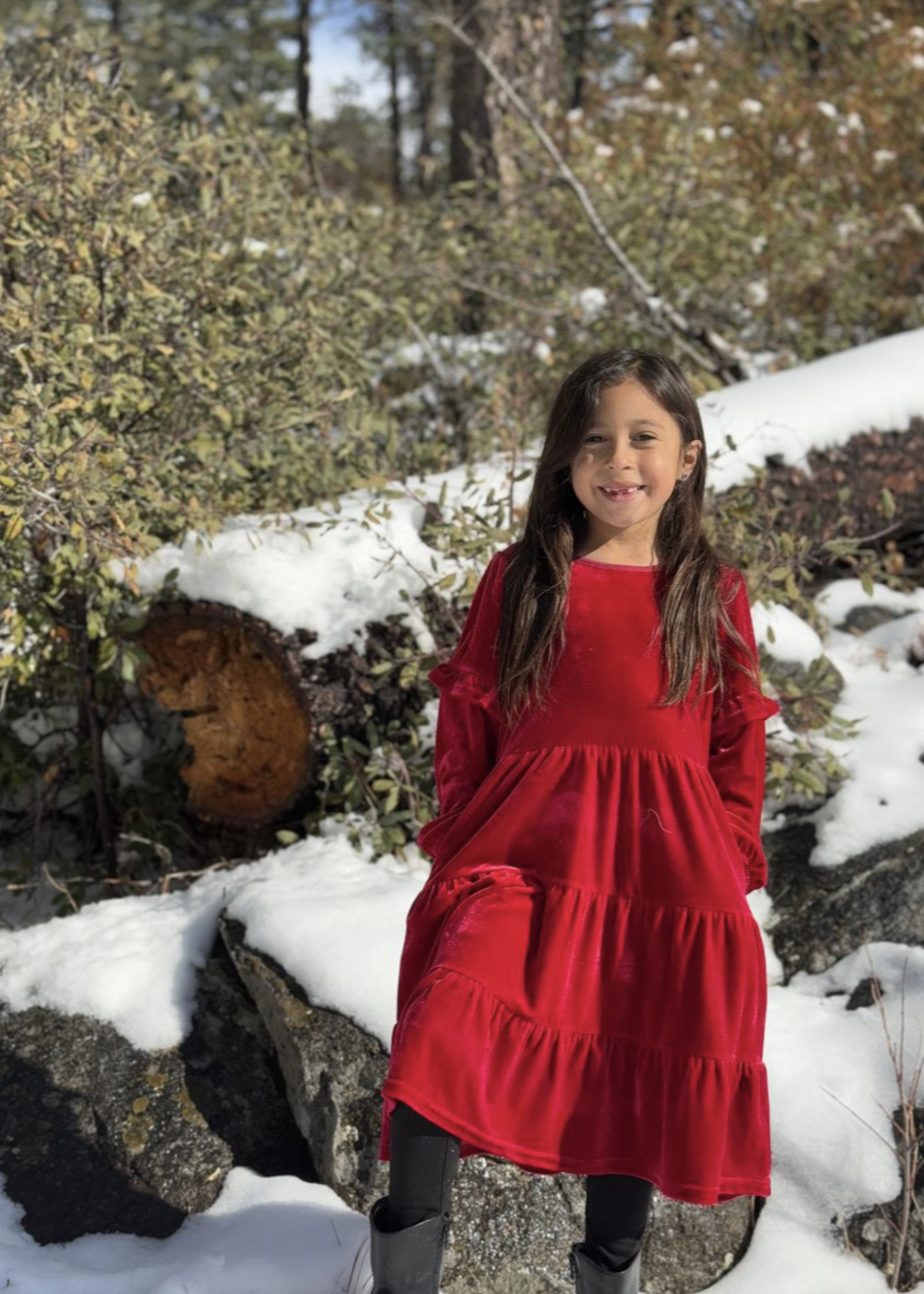 Elitaire Petite Eliana Dress in Red Velvet