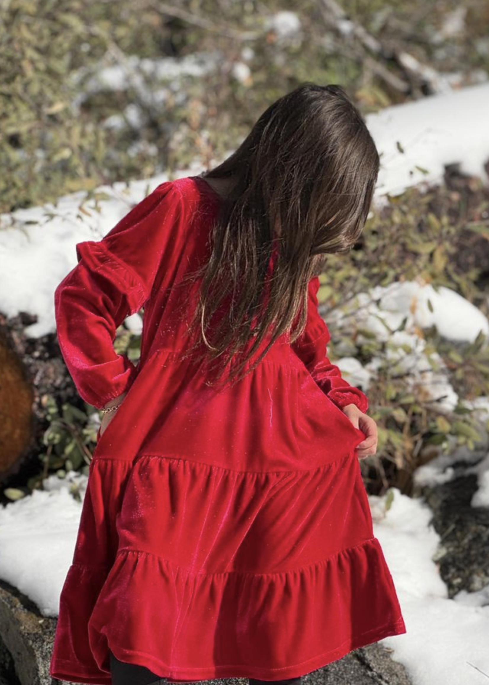 Elitaire Petite Eliana Dress in Red Velvet