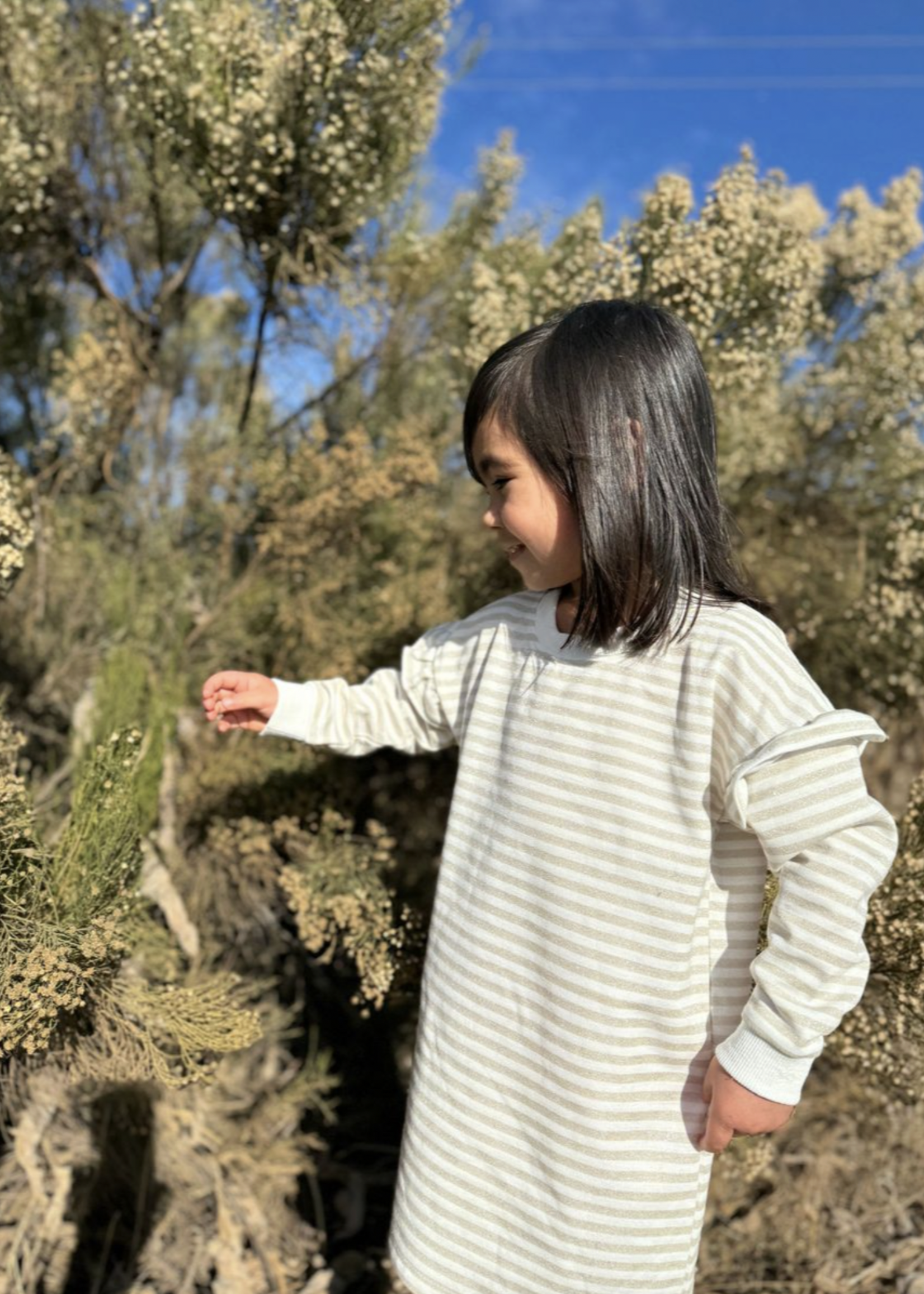 Elitaire Petite Cora Dress in Gold Stripe