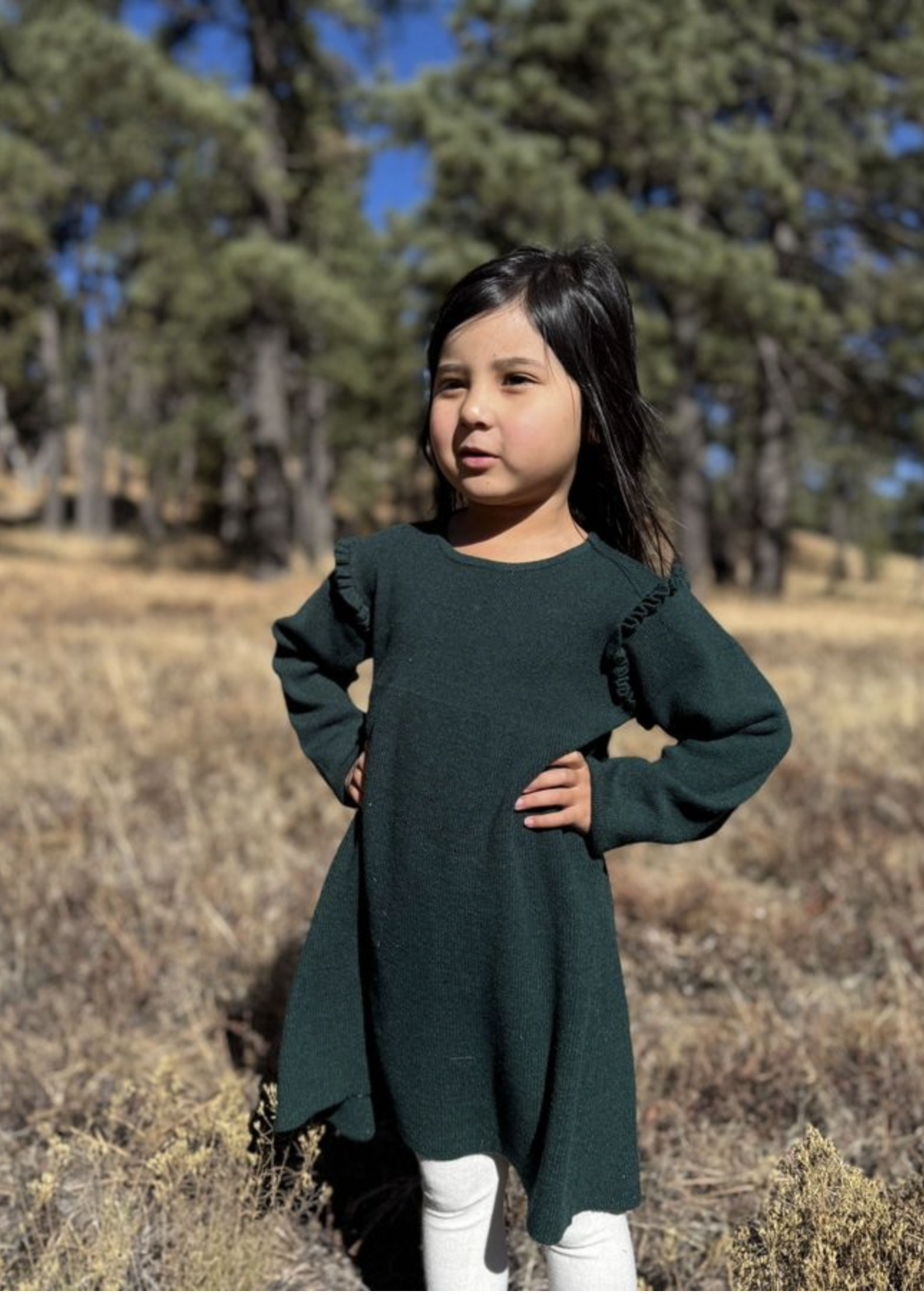 Elitaire Petite Mia Sweater Dress in Green