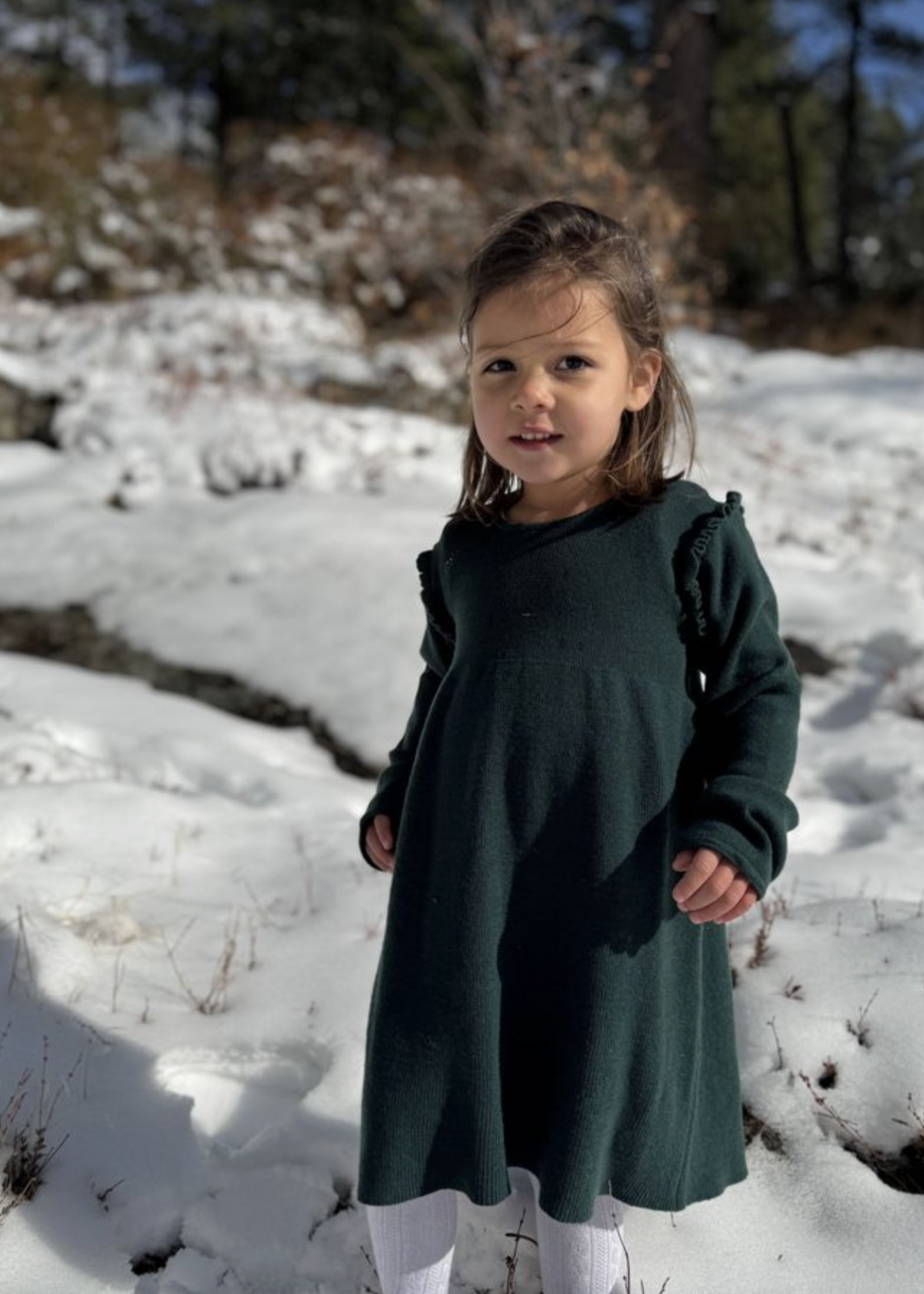Elitaire Petite Mia Sweater Dress in Green