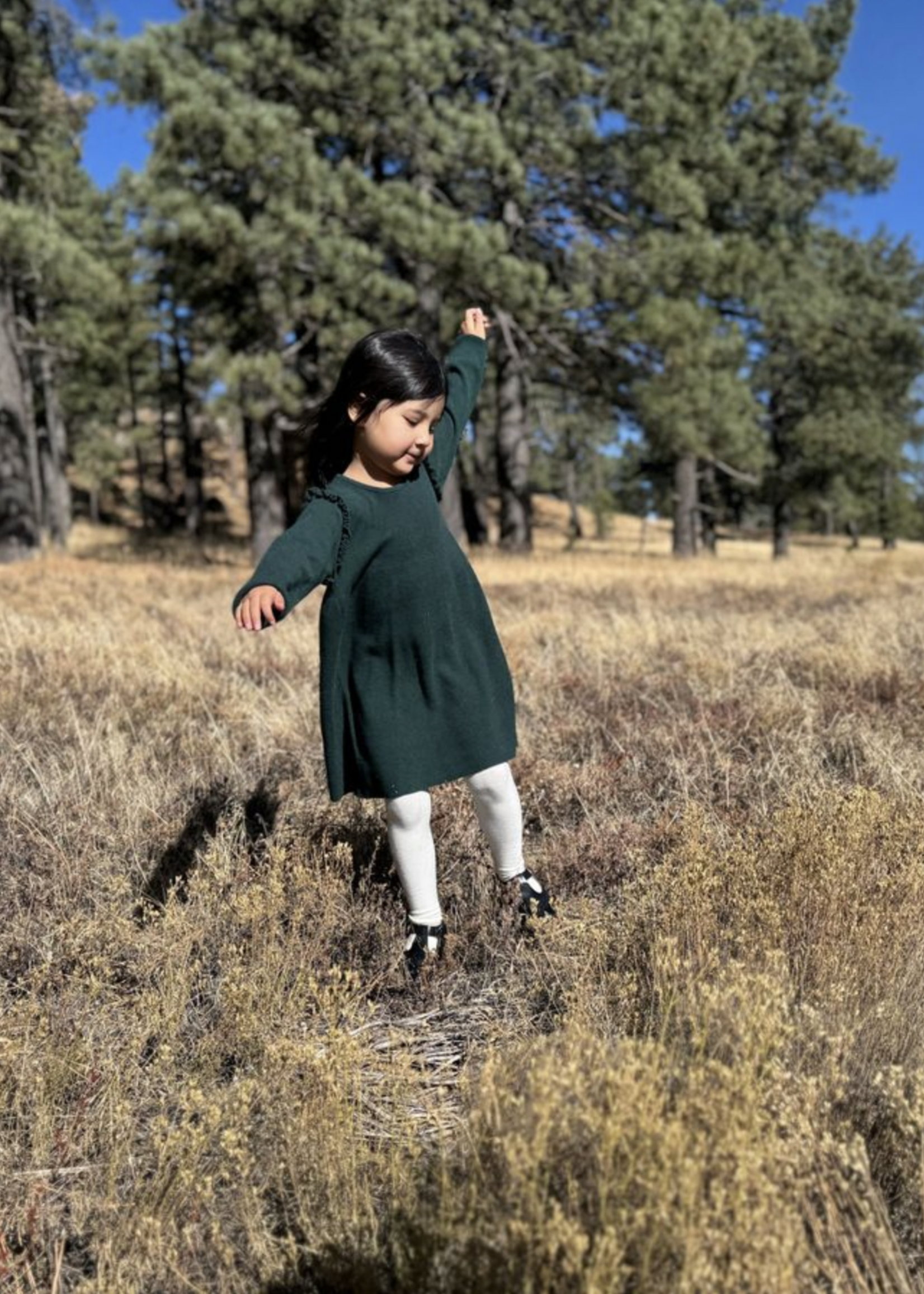 Elitaire Petite Mia Sweater Dress in Green