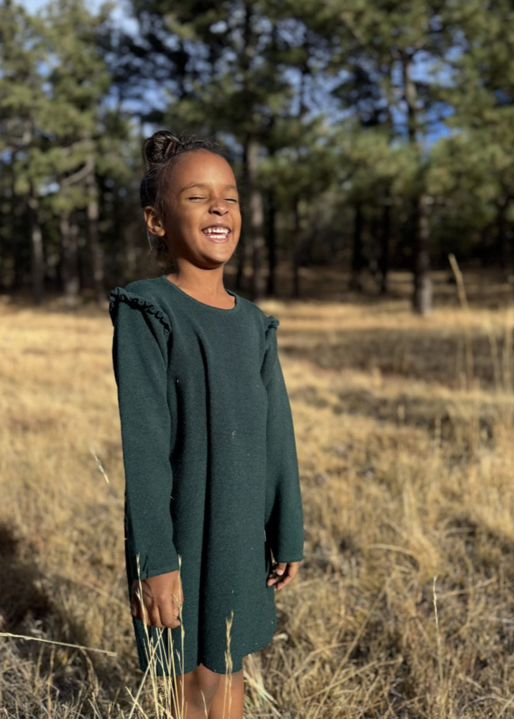 Elitaire Petite Mia Sweater Dress in Green