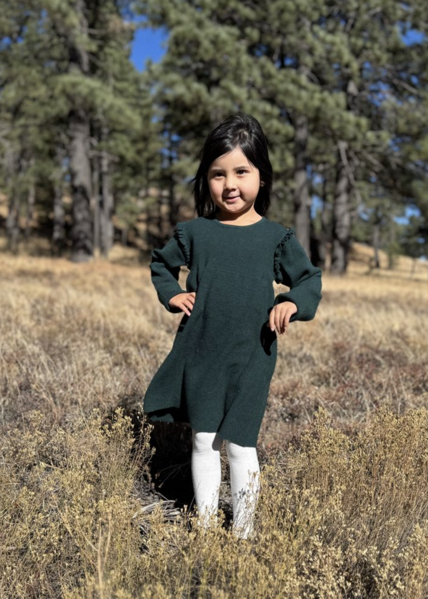 Elitaire Petite Mia Sweater Dress in Green