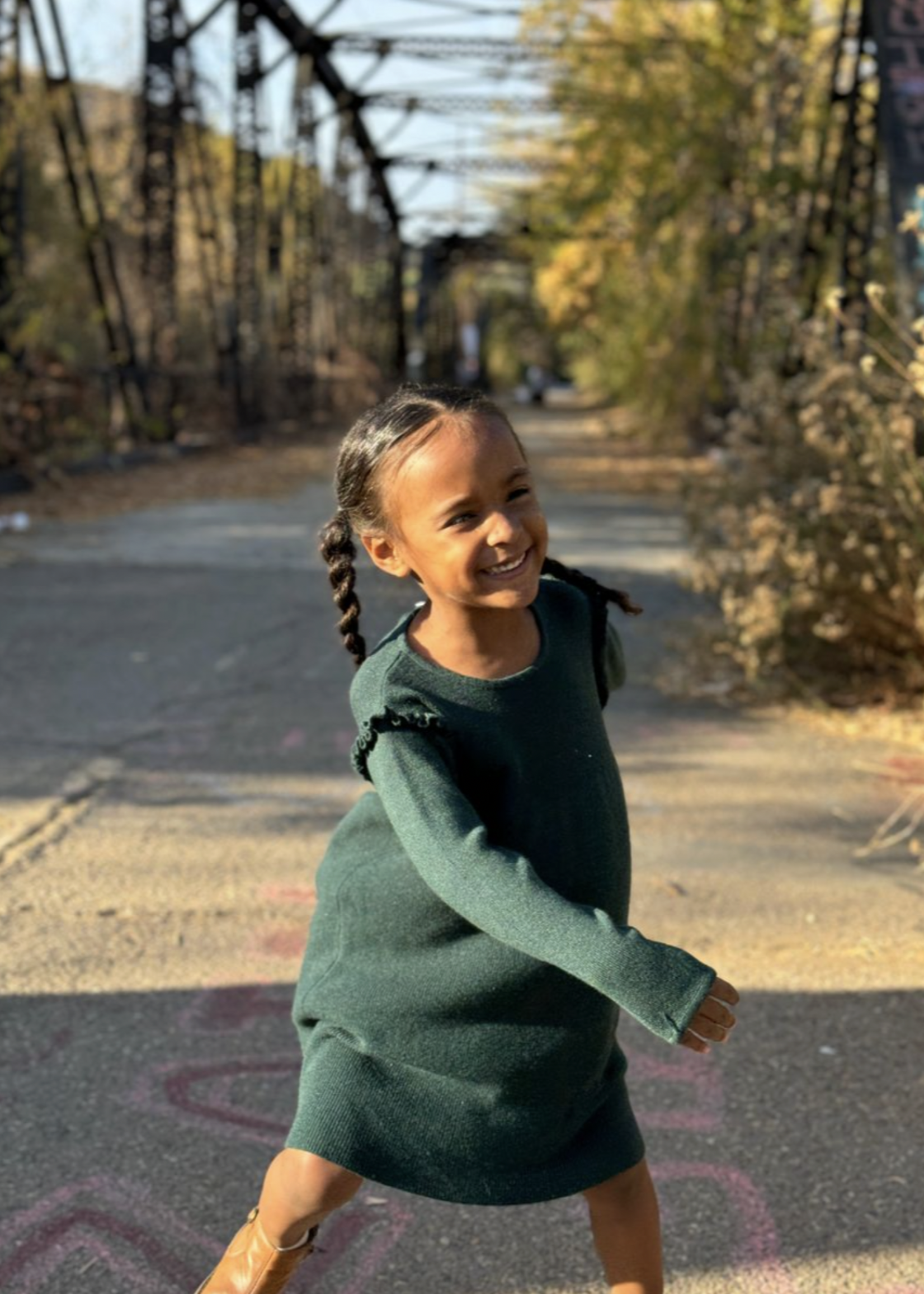 Elitaire Petite Mia Sweater Dress in Green