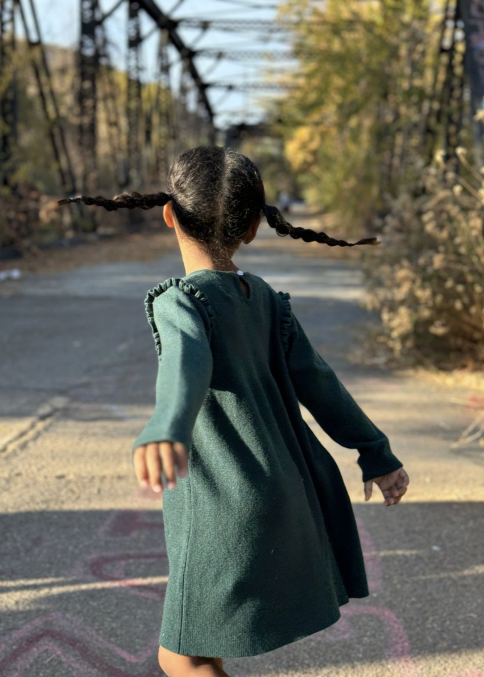 Elitaire Petite Mia Sweater Dress in Green