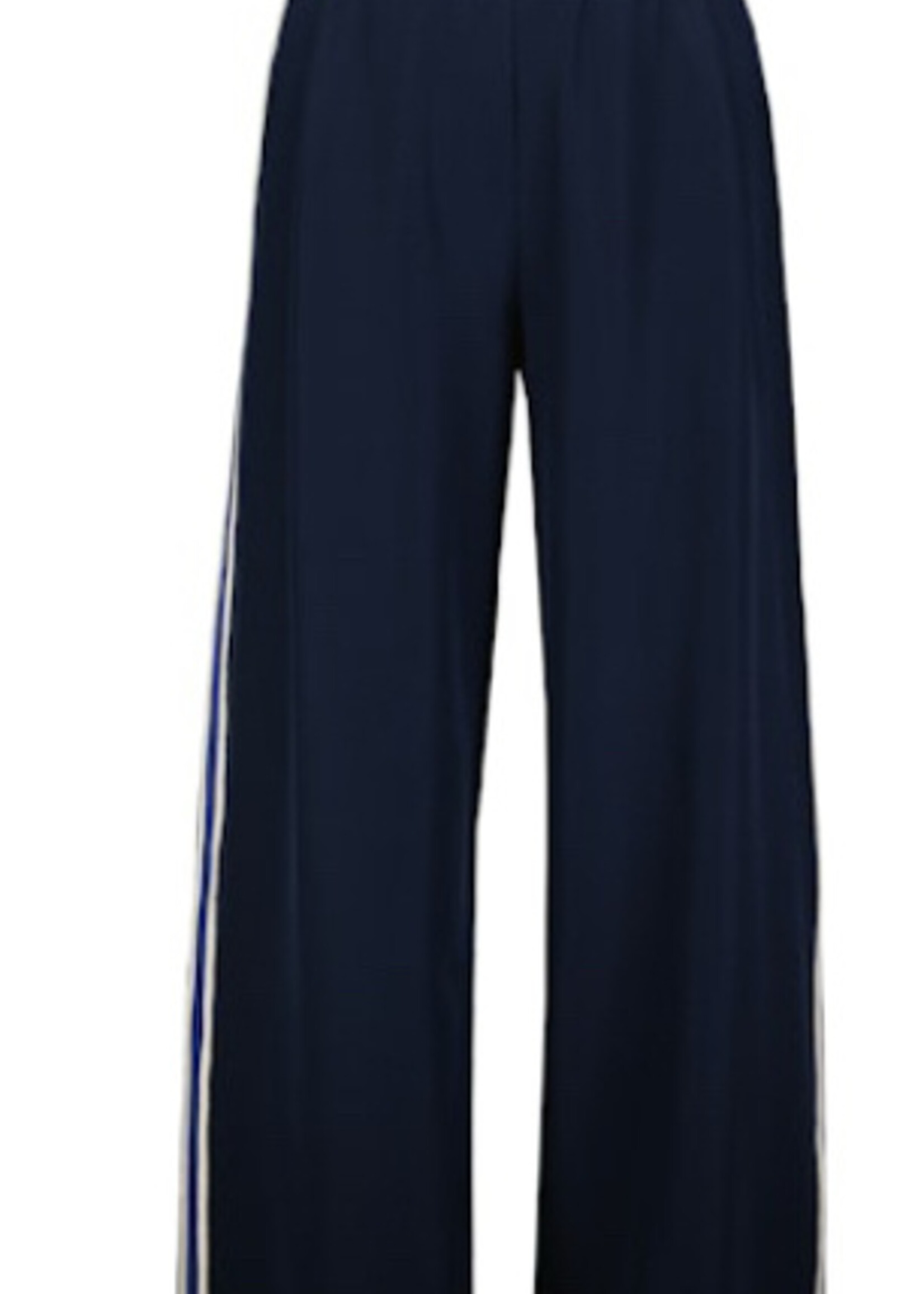 Elitaire Boutique Ford Pants in Navy