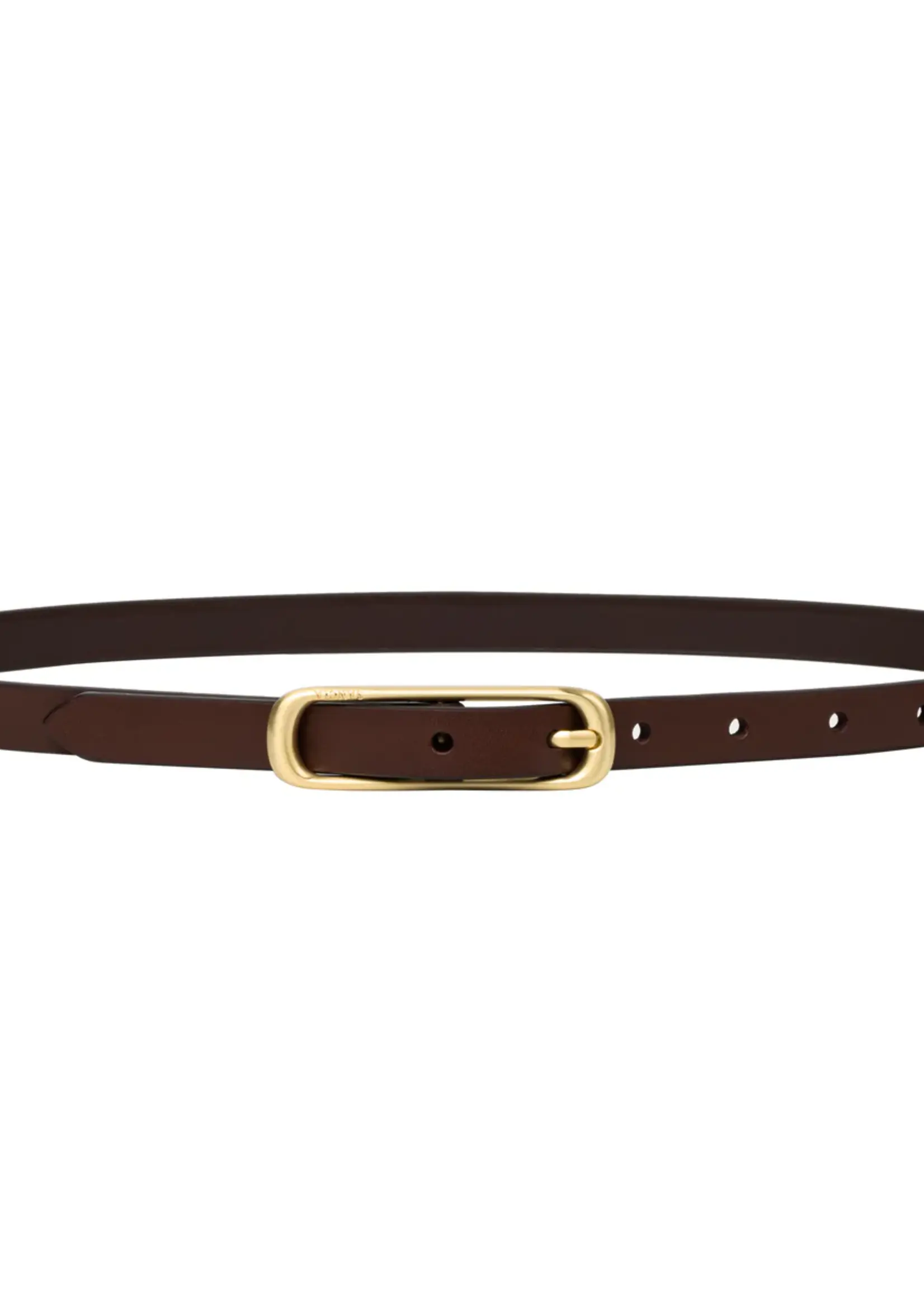 Elitaire Boutique The Felina Belt in Cocoa