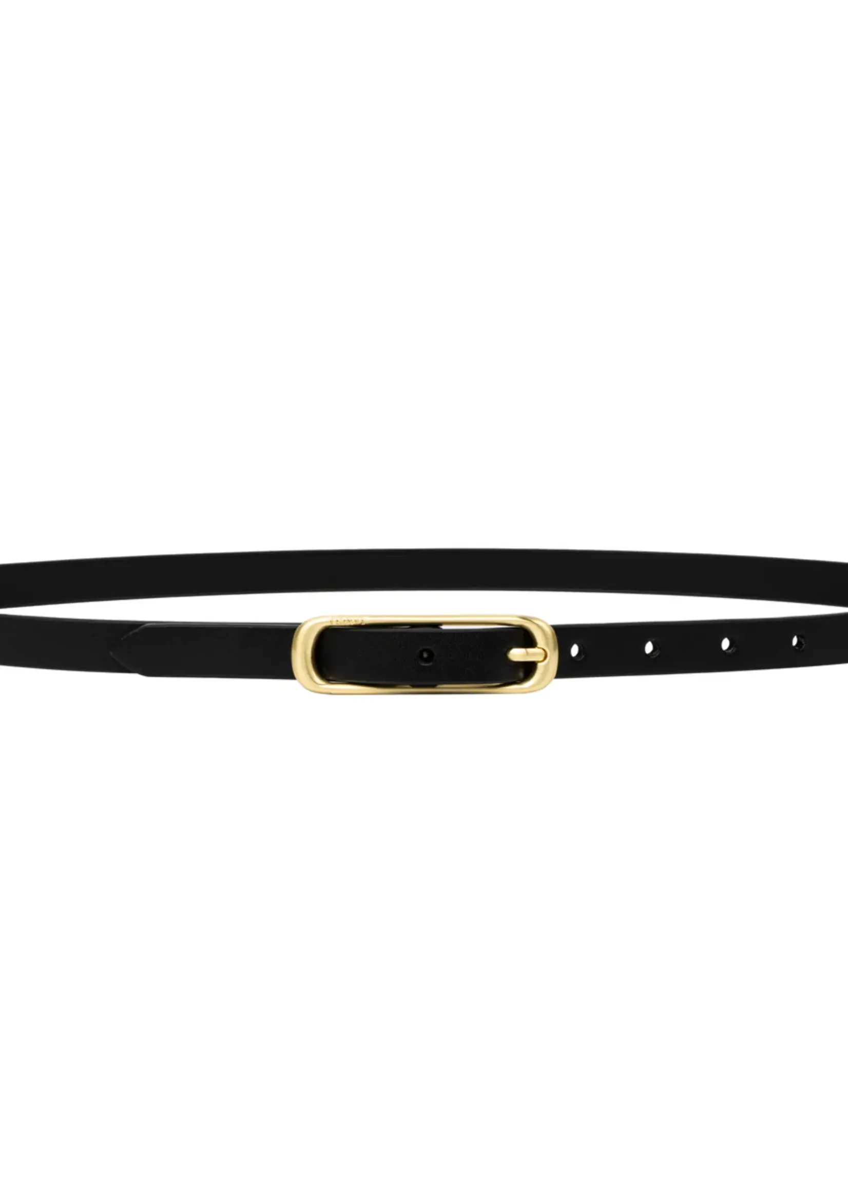 Elitaire Boutique The Felina Belt in Black