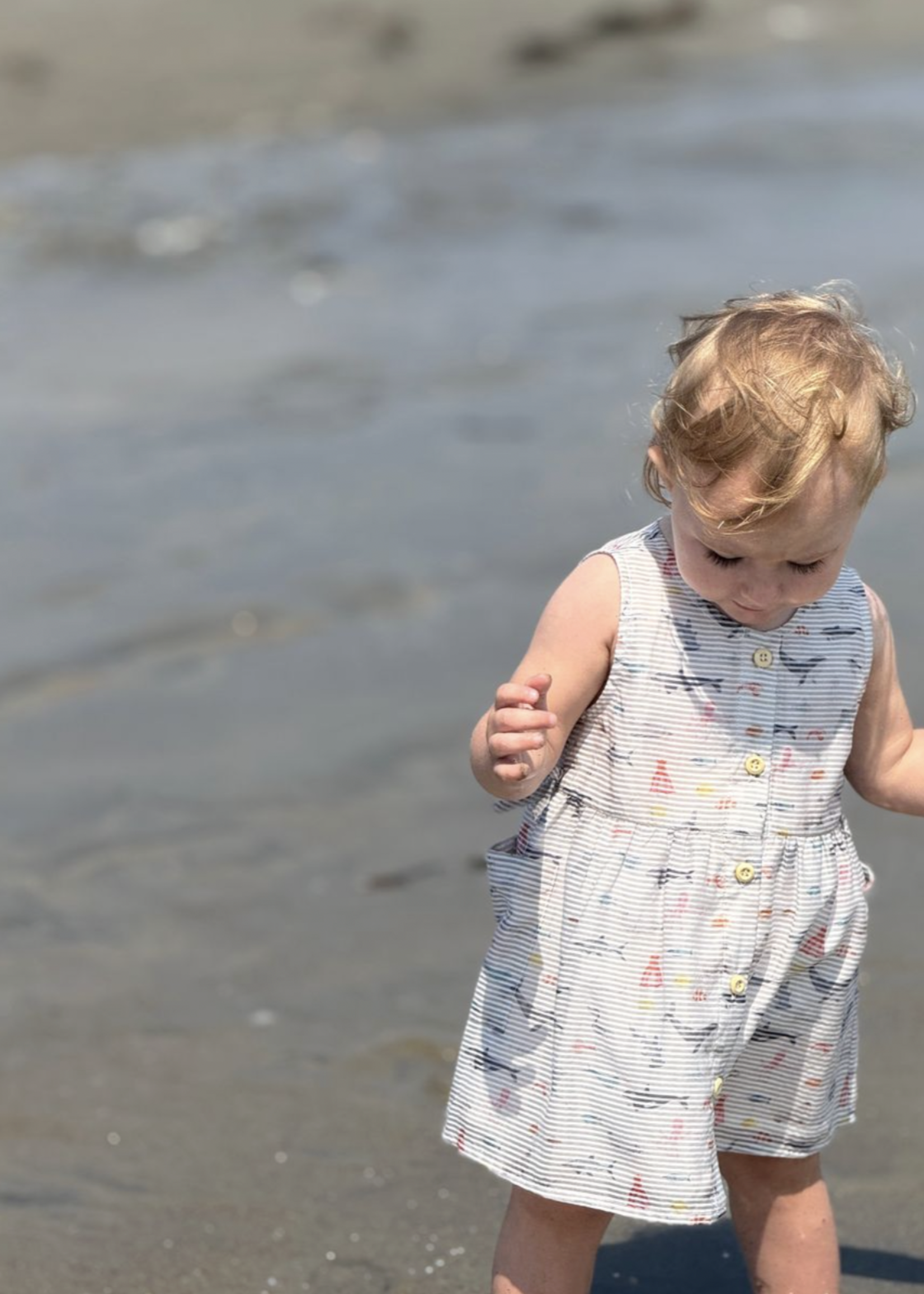 Elitaire Petite Briallen Dress in Sealife