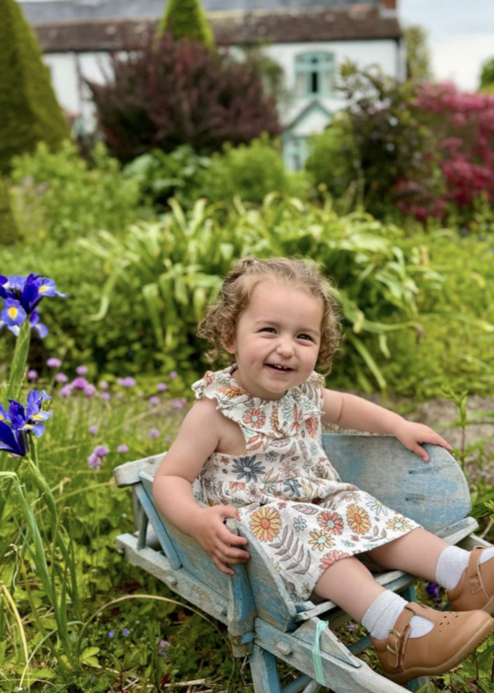 Elitaire Petite Beau Dress in Retro Floral